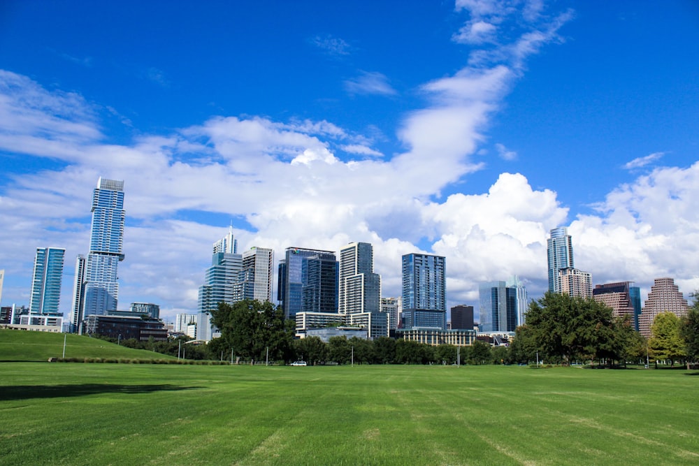 a grassy field in front of a city skyline