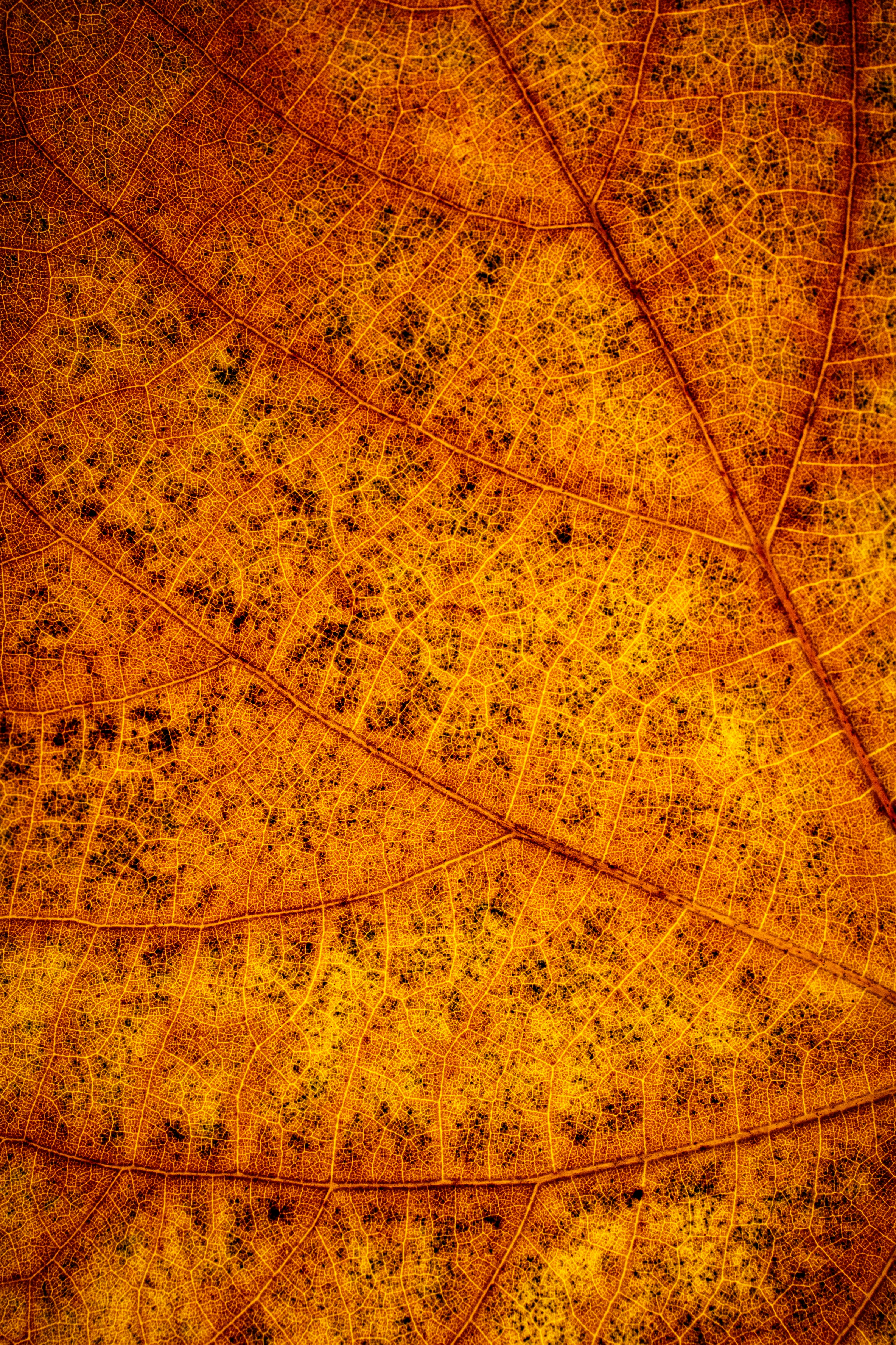 Photo by vinomamba24