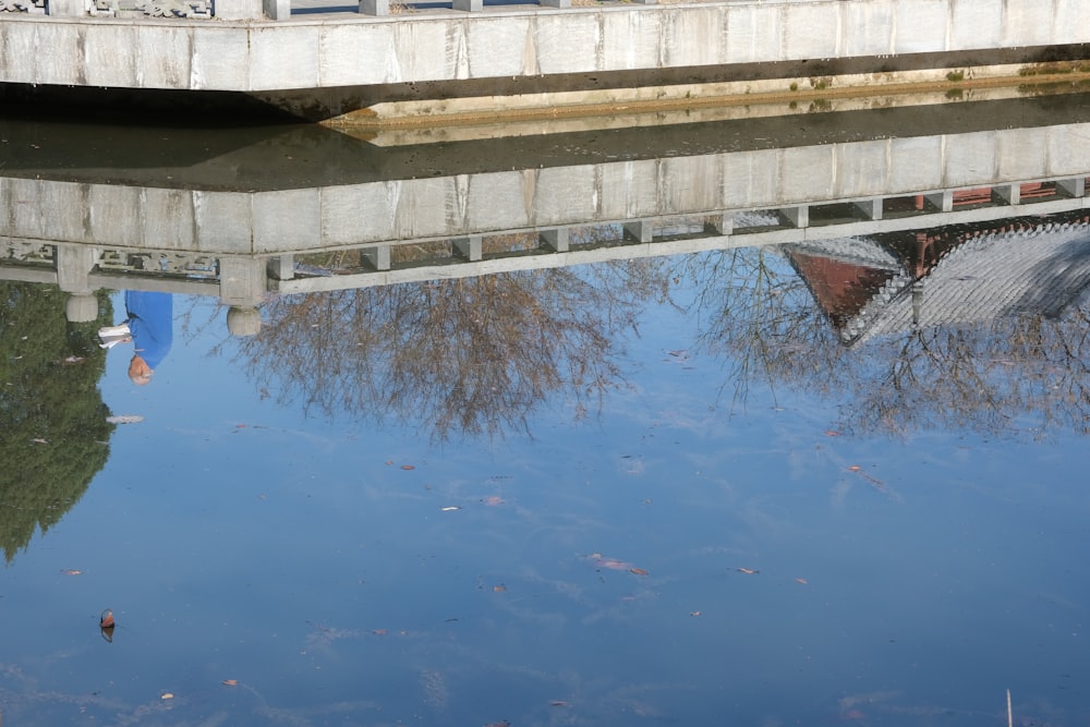 a bridge over a body of water with trees in it