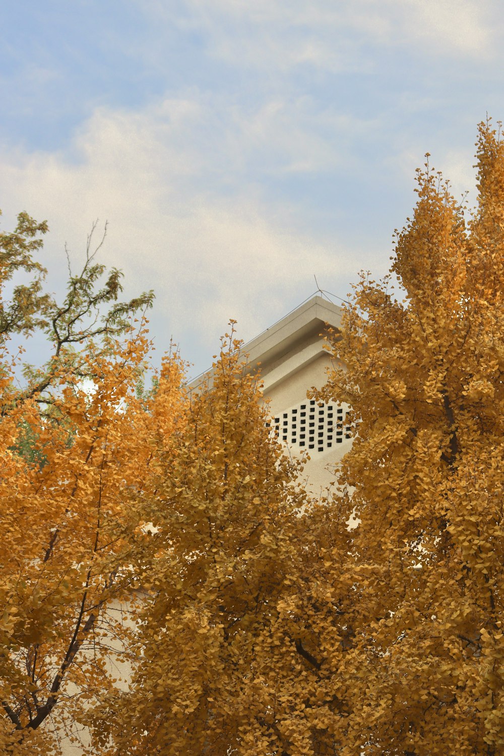 a clock tower is surrounded by trees with yellow leaves