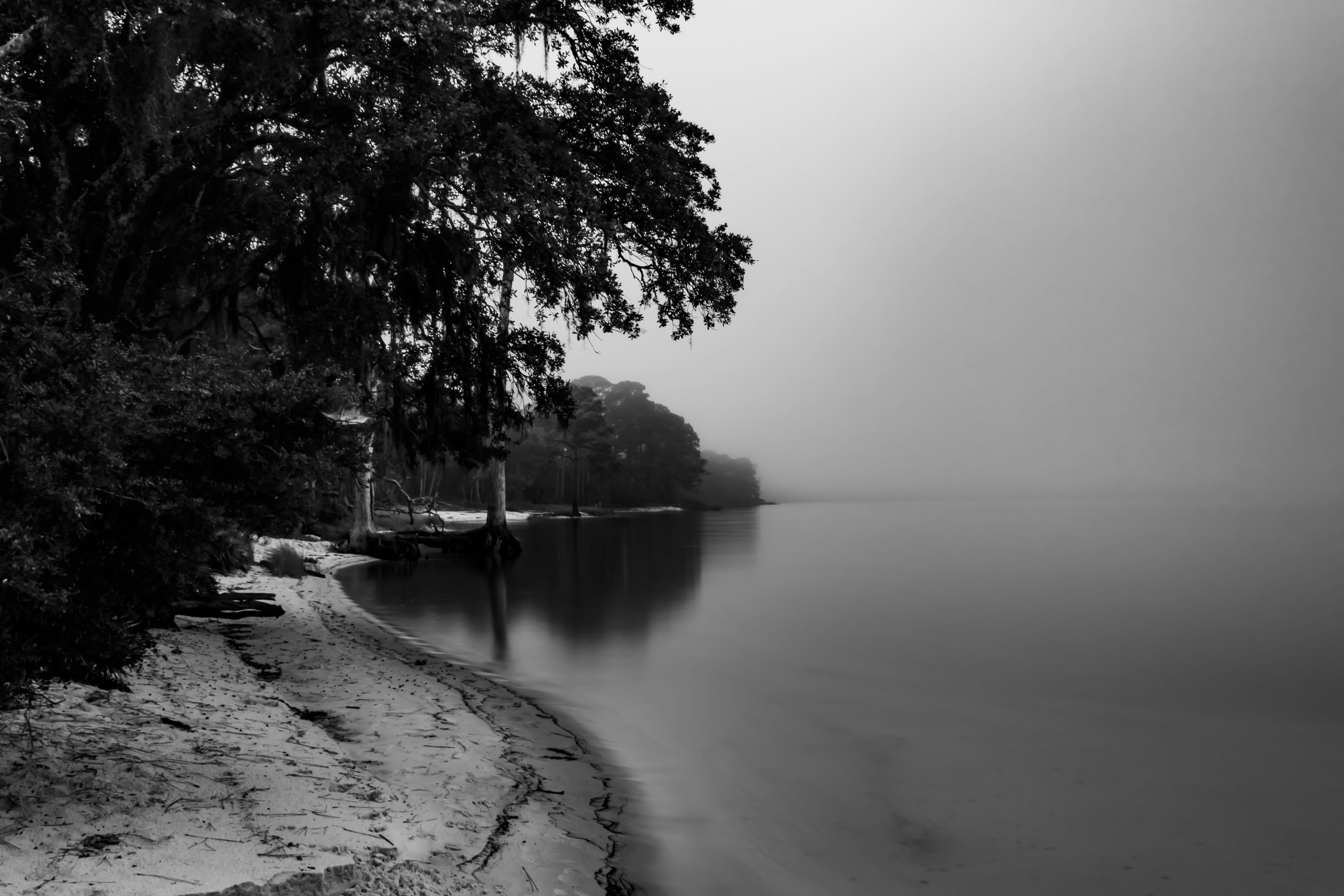 Photo by snakedoc702