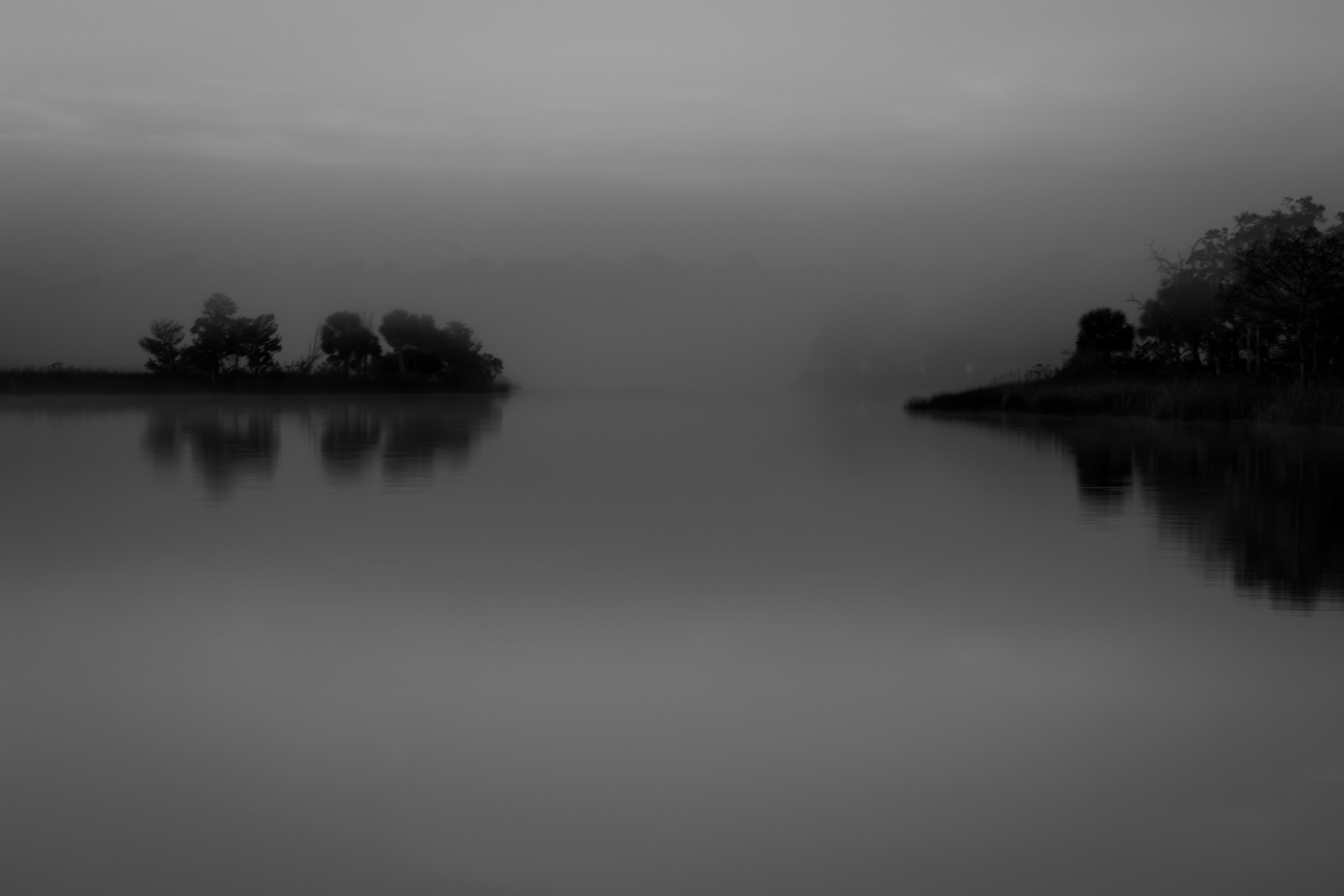 Photo by snakedoc702