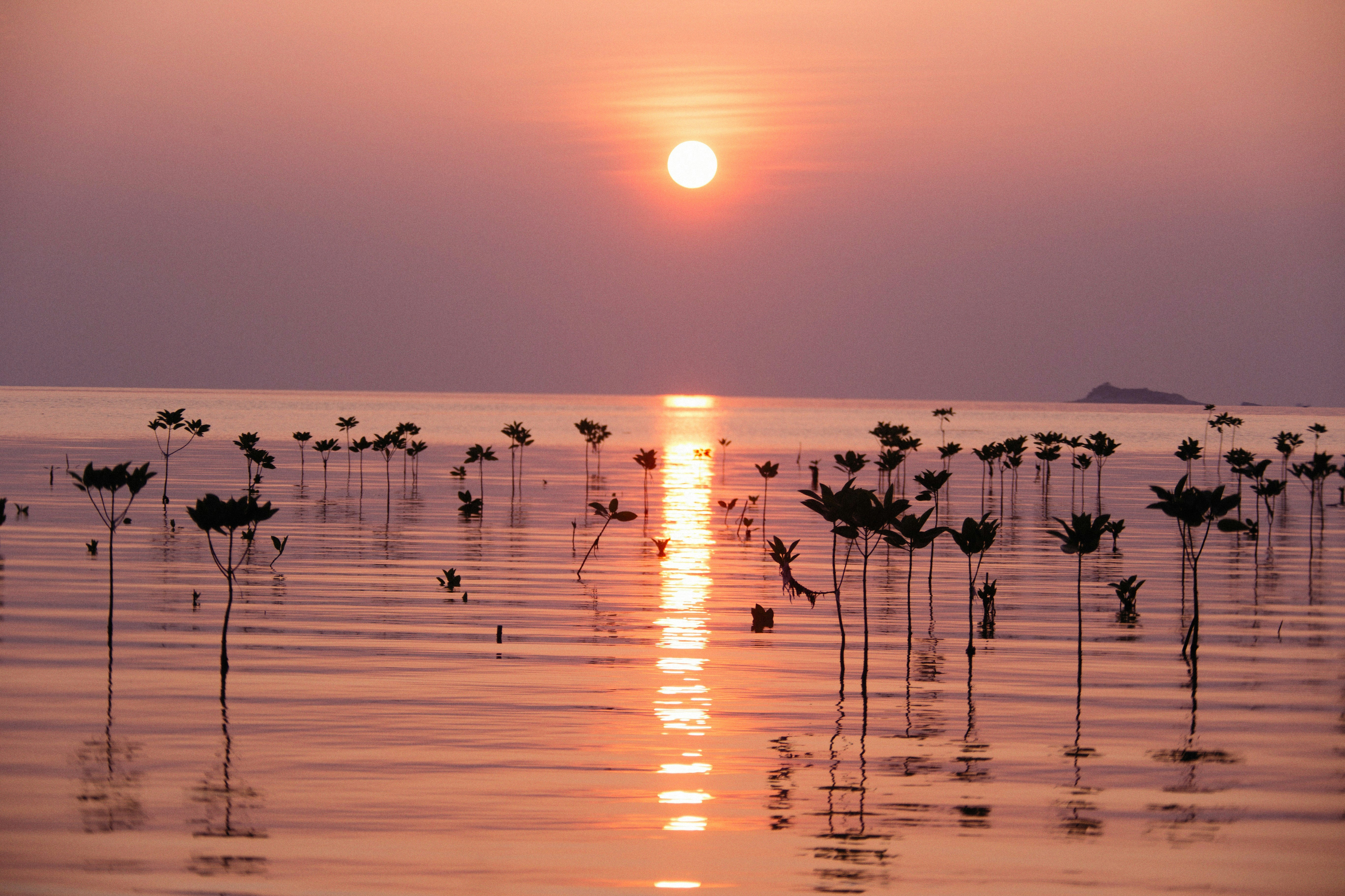 Photo by alexeydemidov