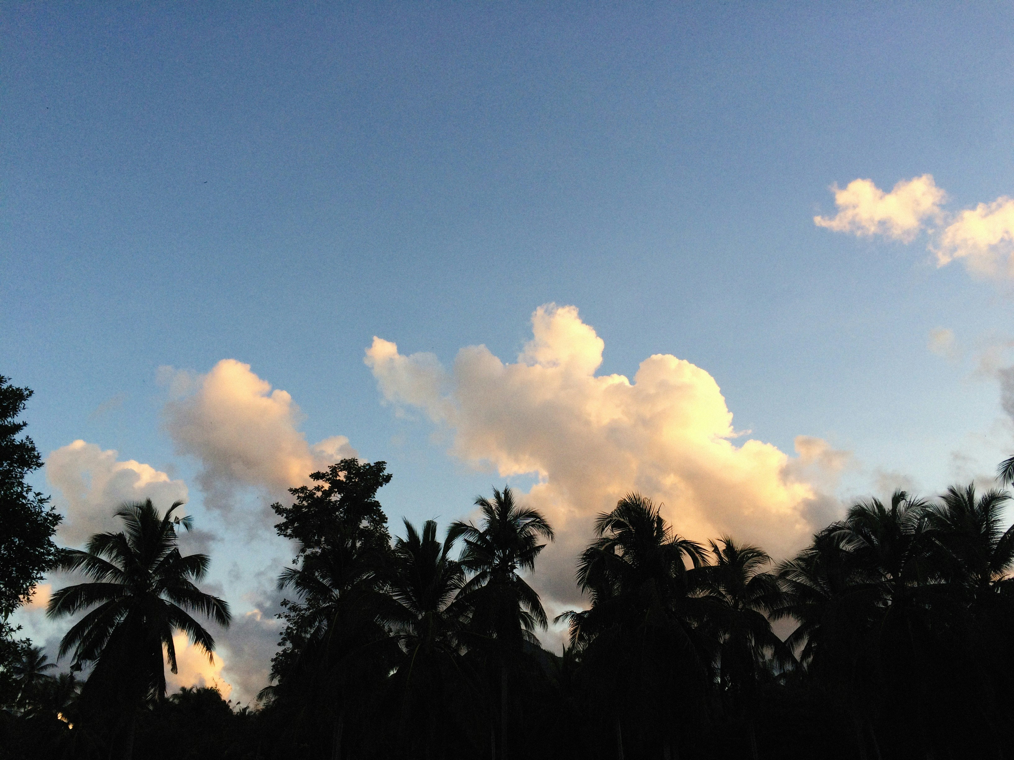 Photo by alexeydemidov