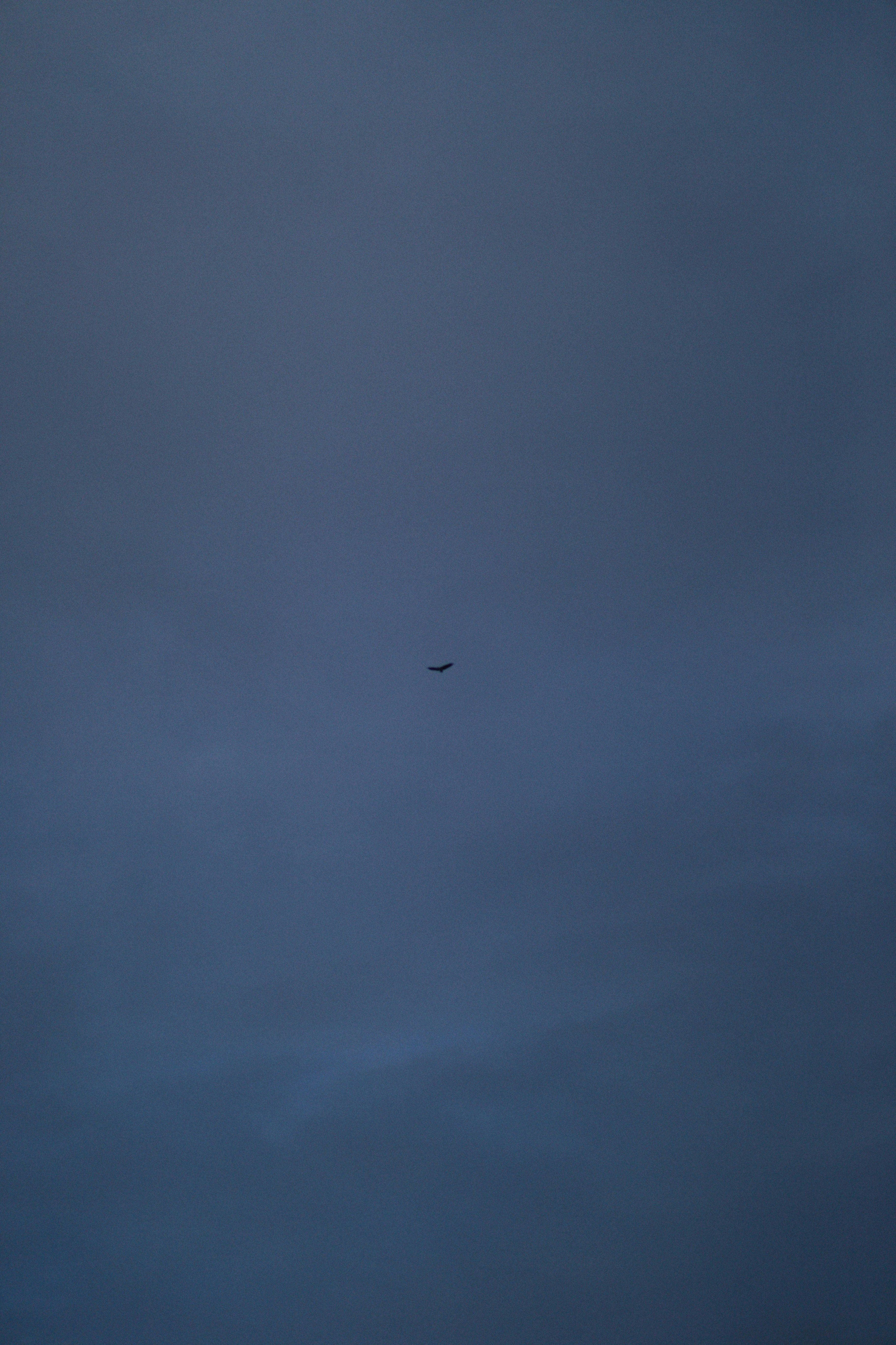 Photo by alexeydemidov