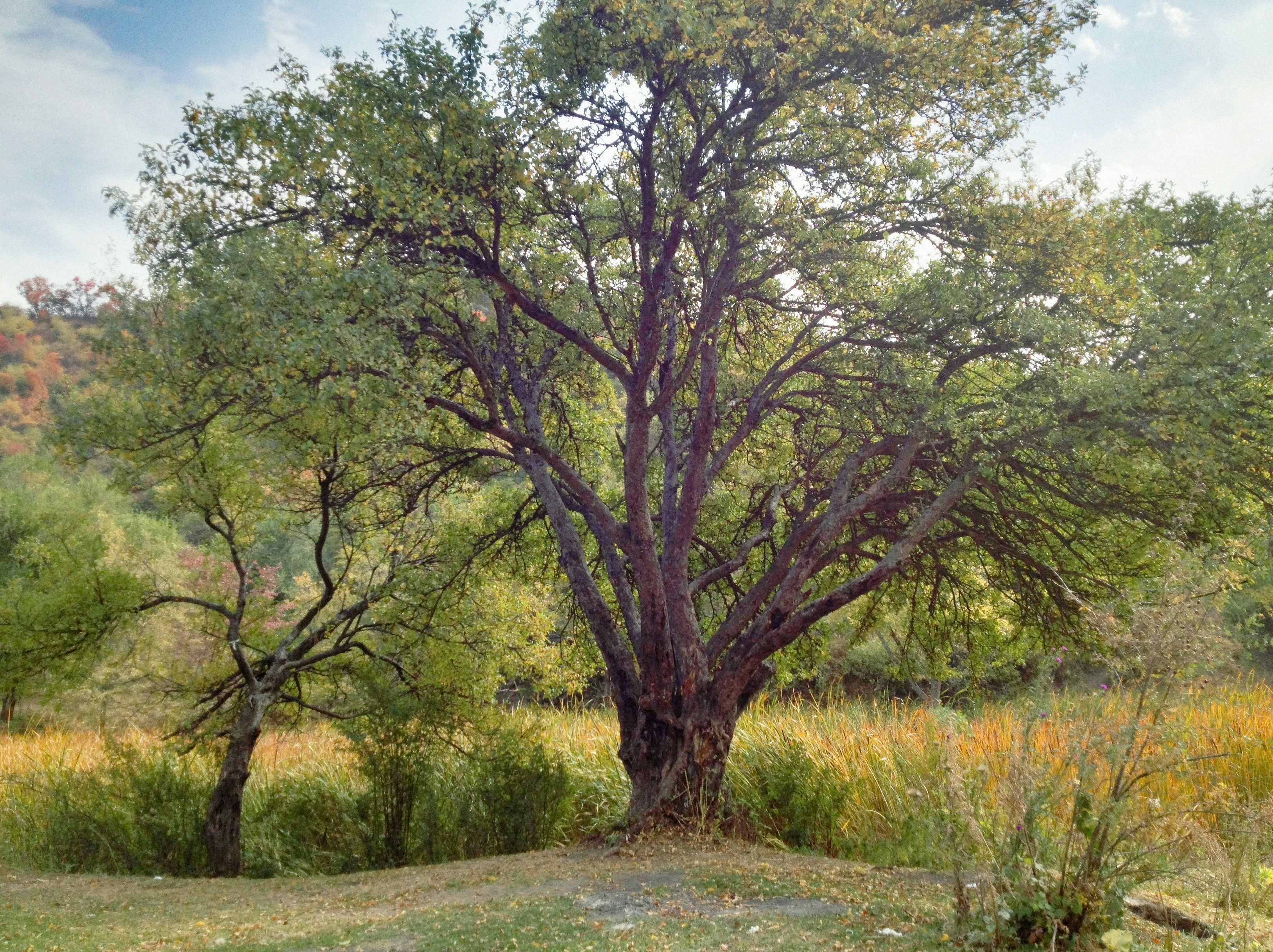 Photo by alexeydemidov