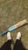 A close-up of a high-quality cricket bat resting on a grassy field.