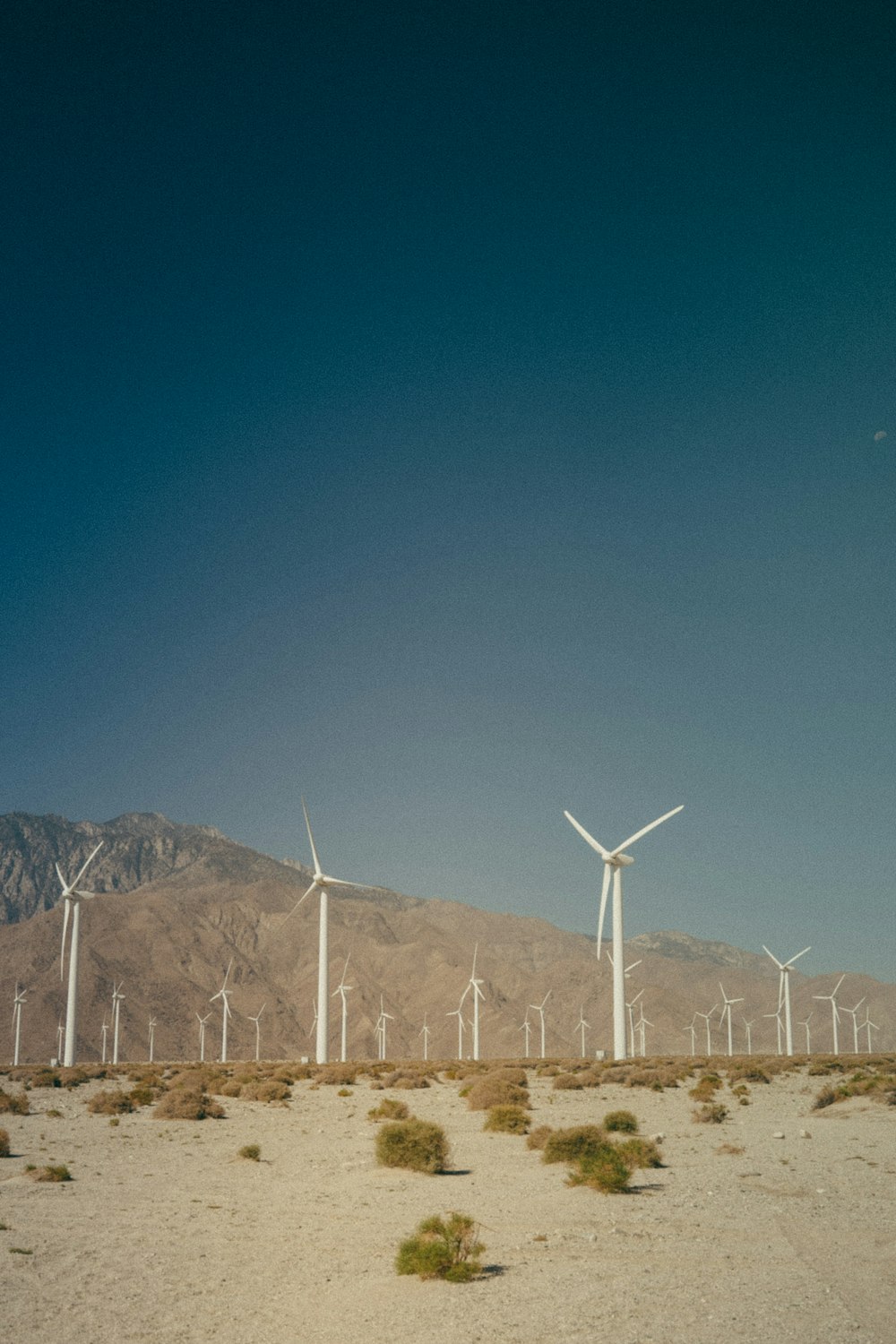 a bunch of windmills that are in the desert