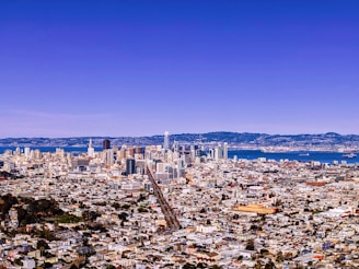 a view of the city of san francisco from the top of a hill