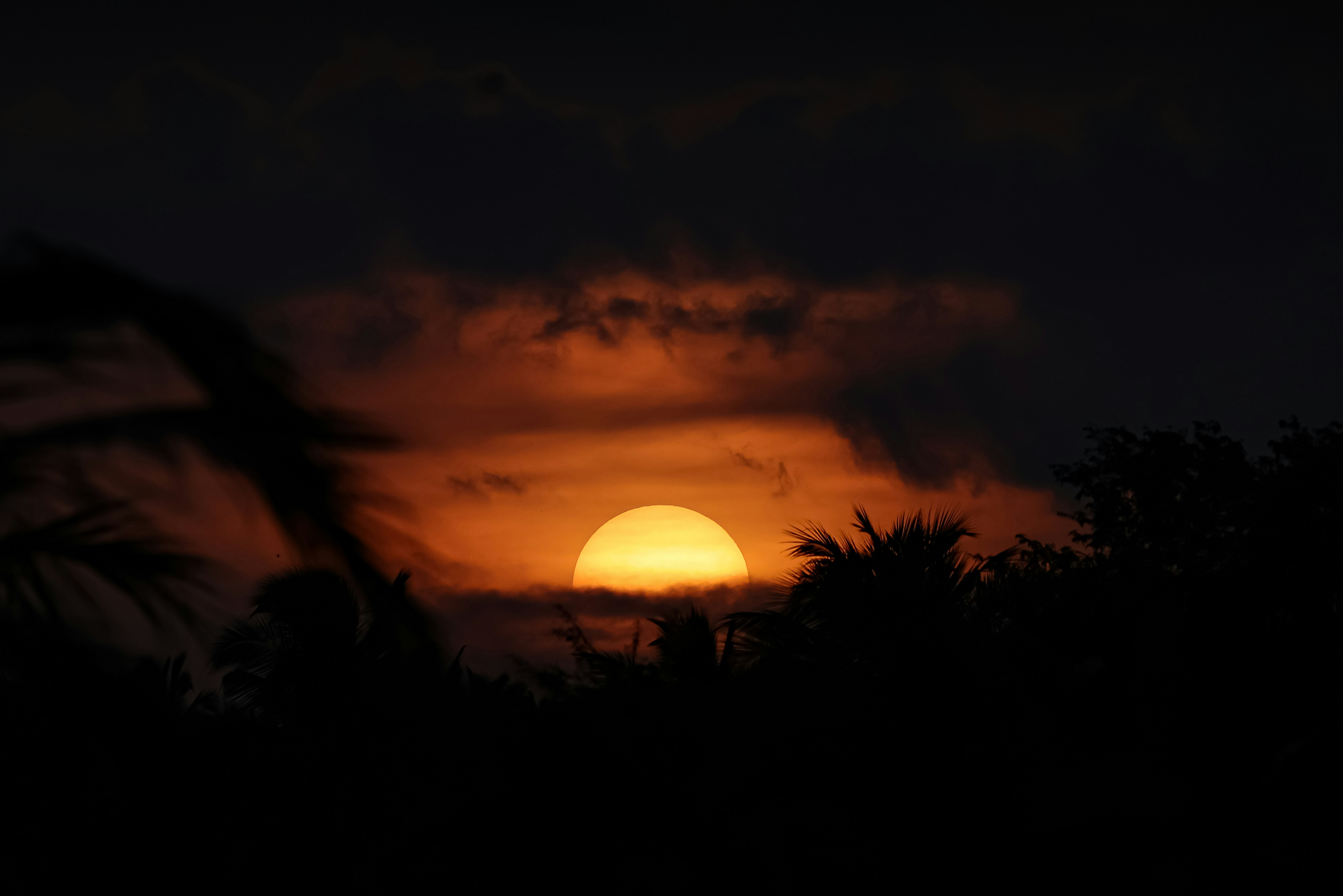 Photo by ajimanohar