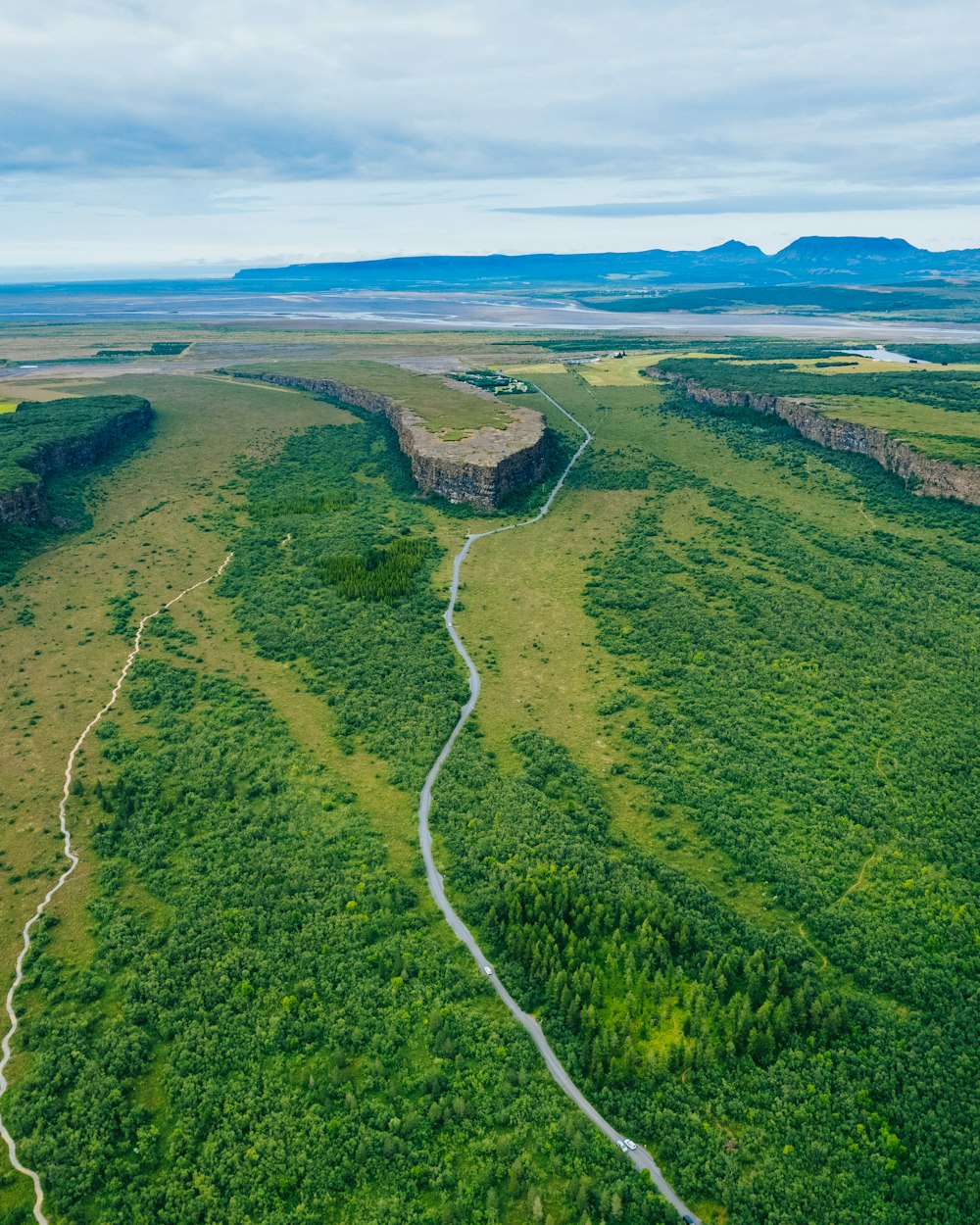 an aerial view of a lush green field