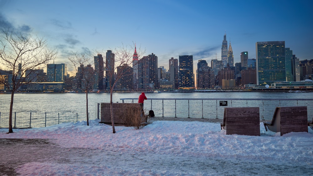 a person standing in the snow near a body of water