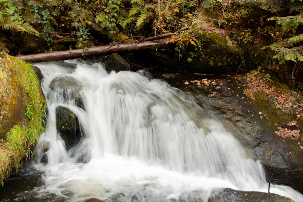 a small waterfall in the middle of a forest