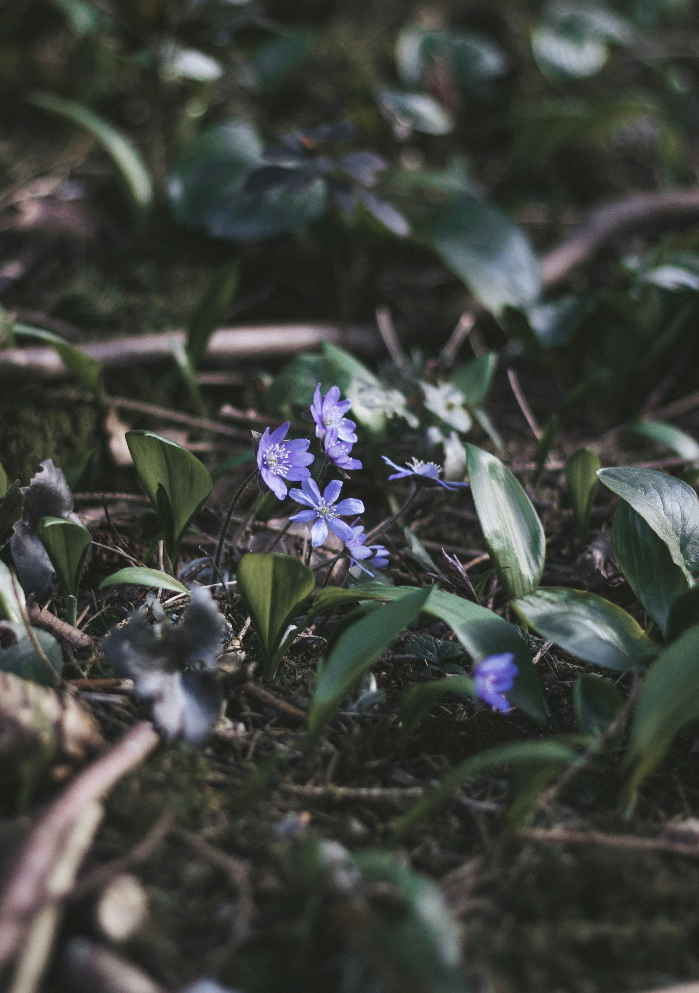 Photo by earthfulmoments