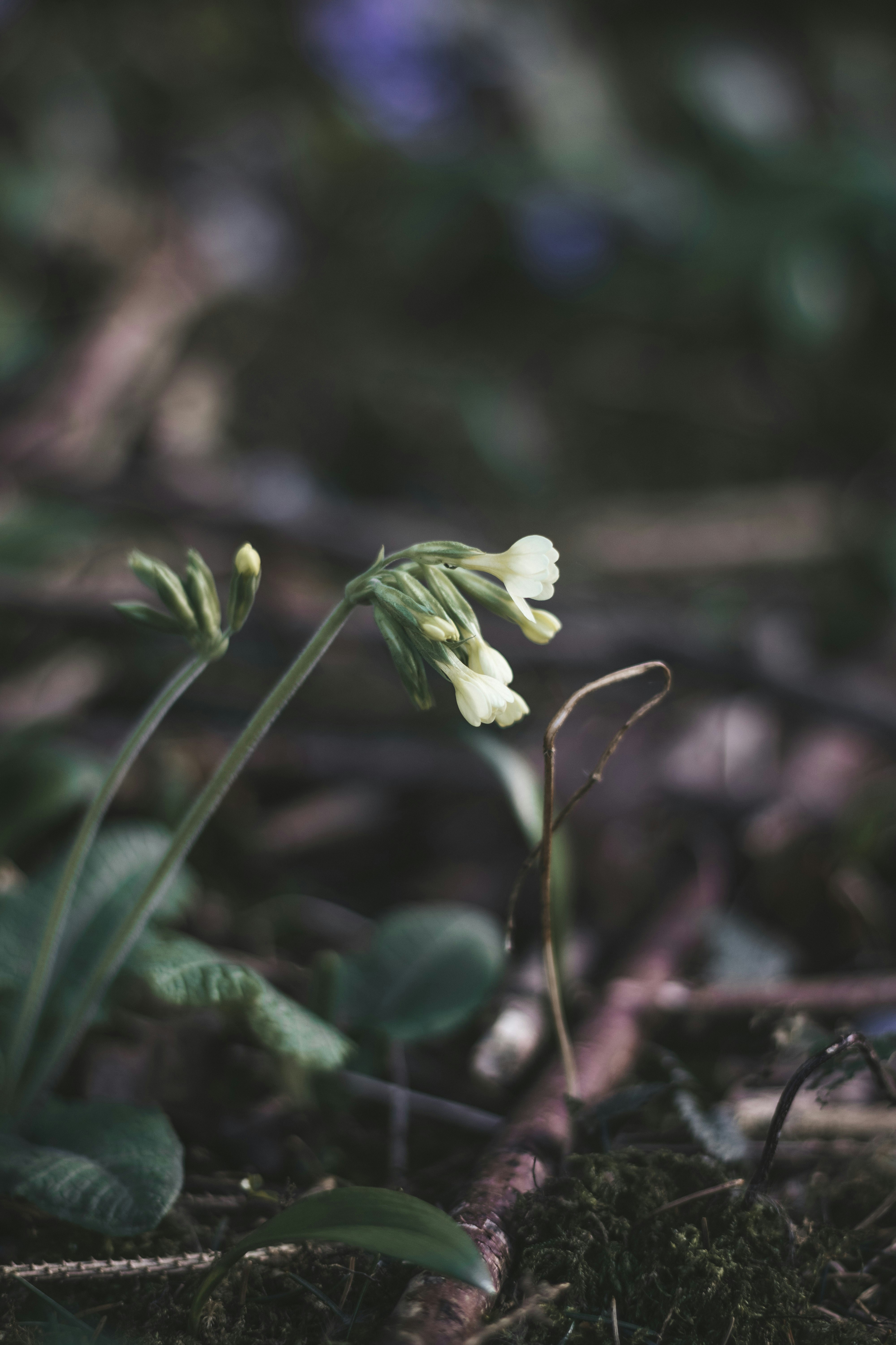 Photo by earthfulmoments