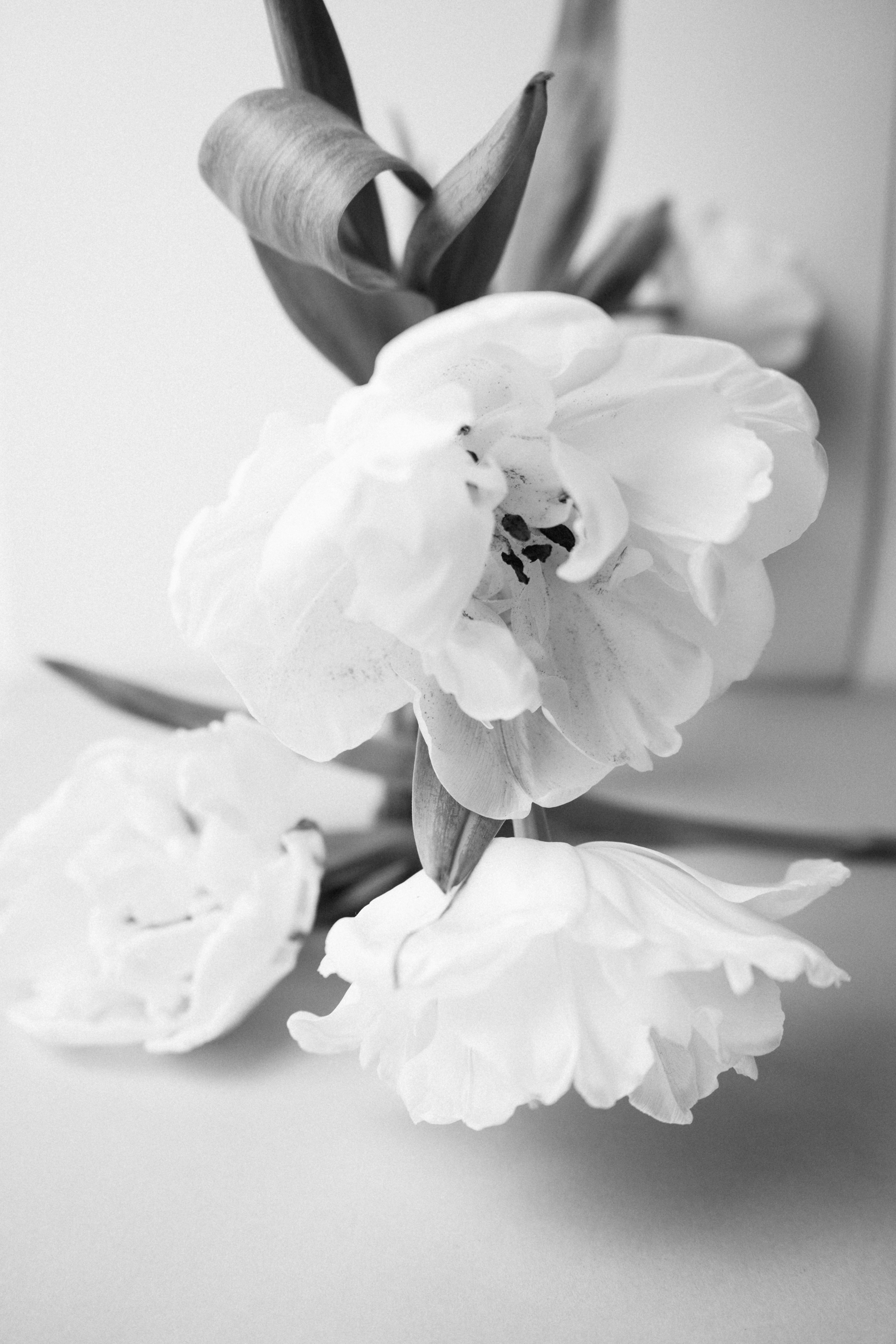 Photo by albina___white