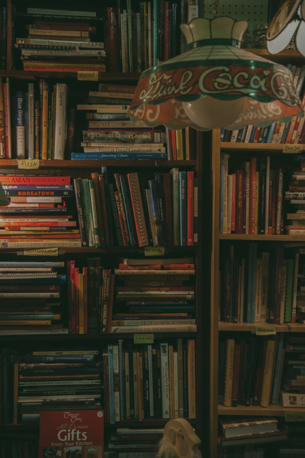 a dog sitting in front of a bookshelf full of books