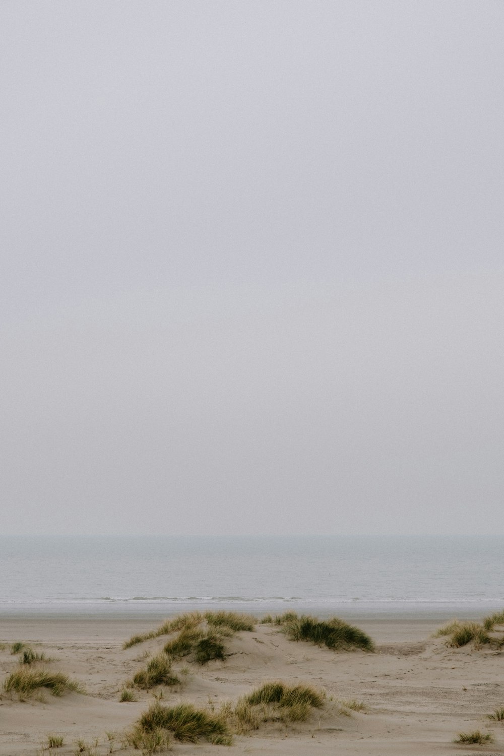 a person standing on a beach flying a kite