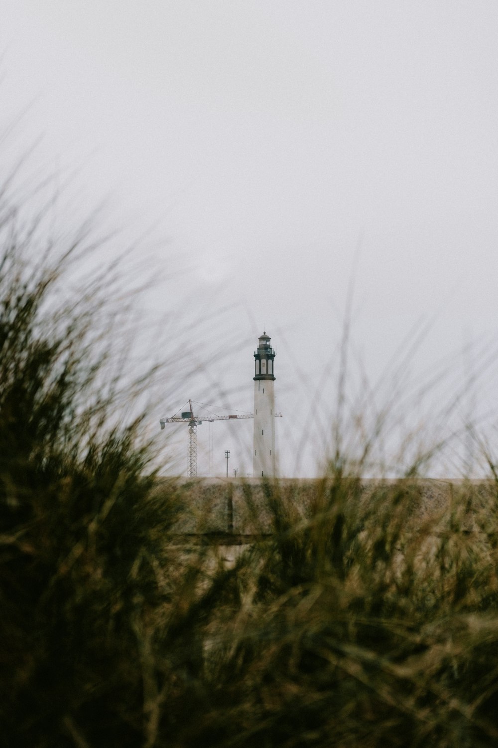 a white lighthouse surrounded by tall grass on a cloudy day