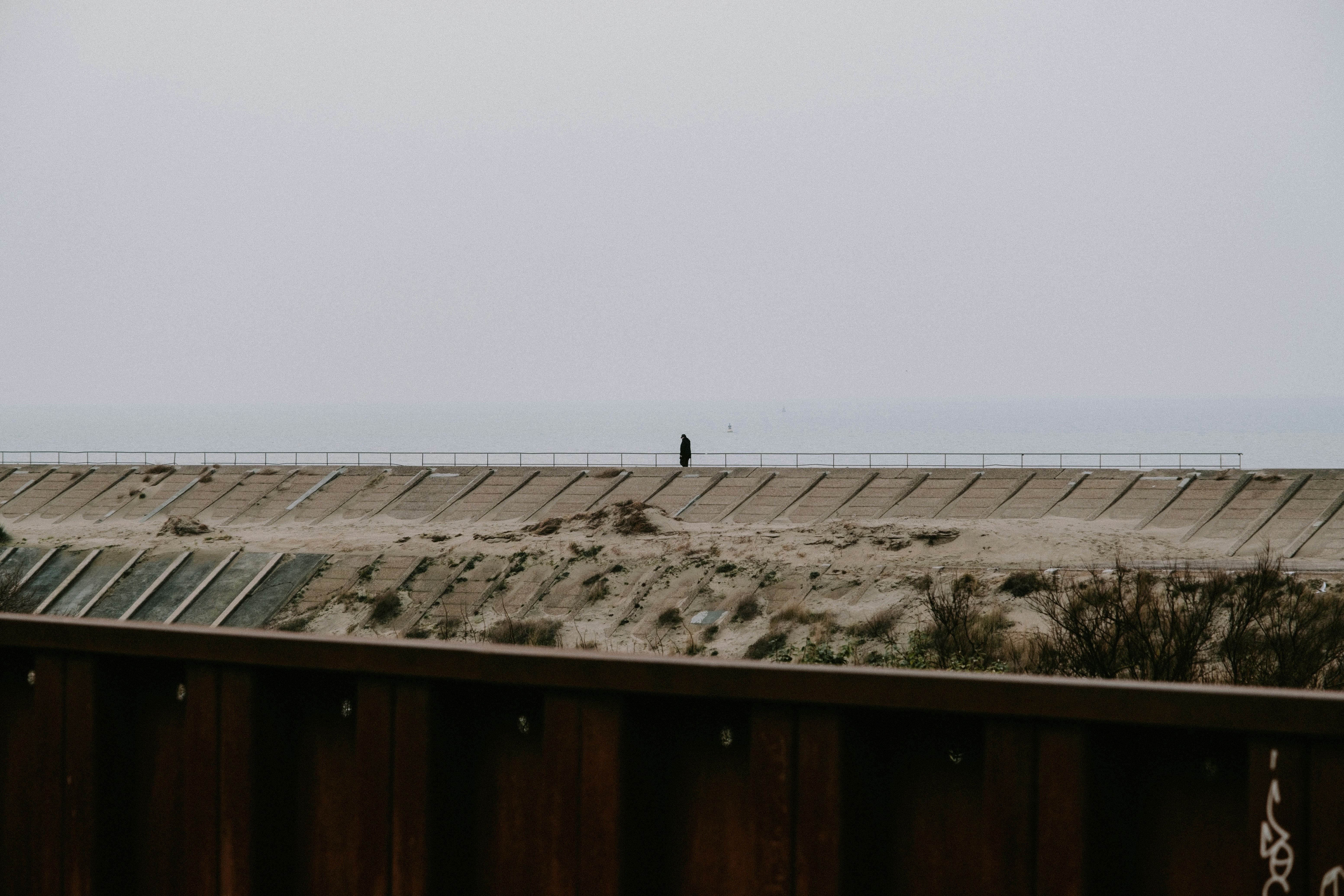 Photo by matreding