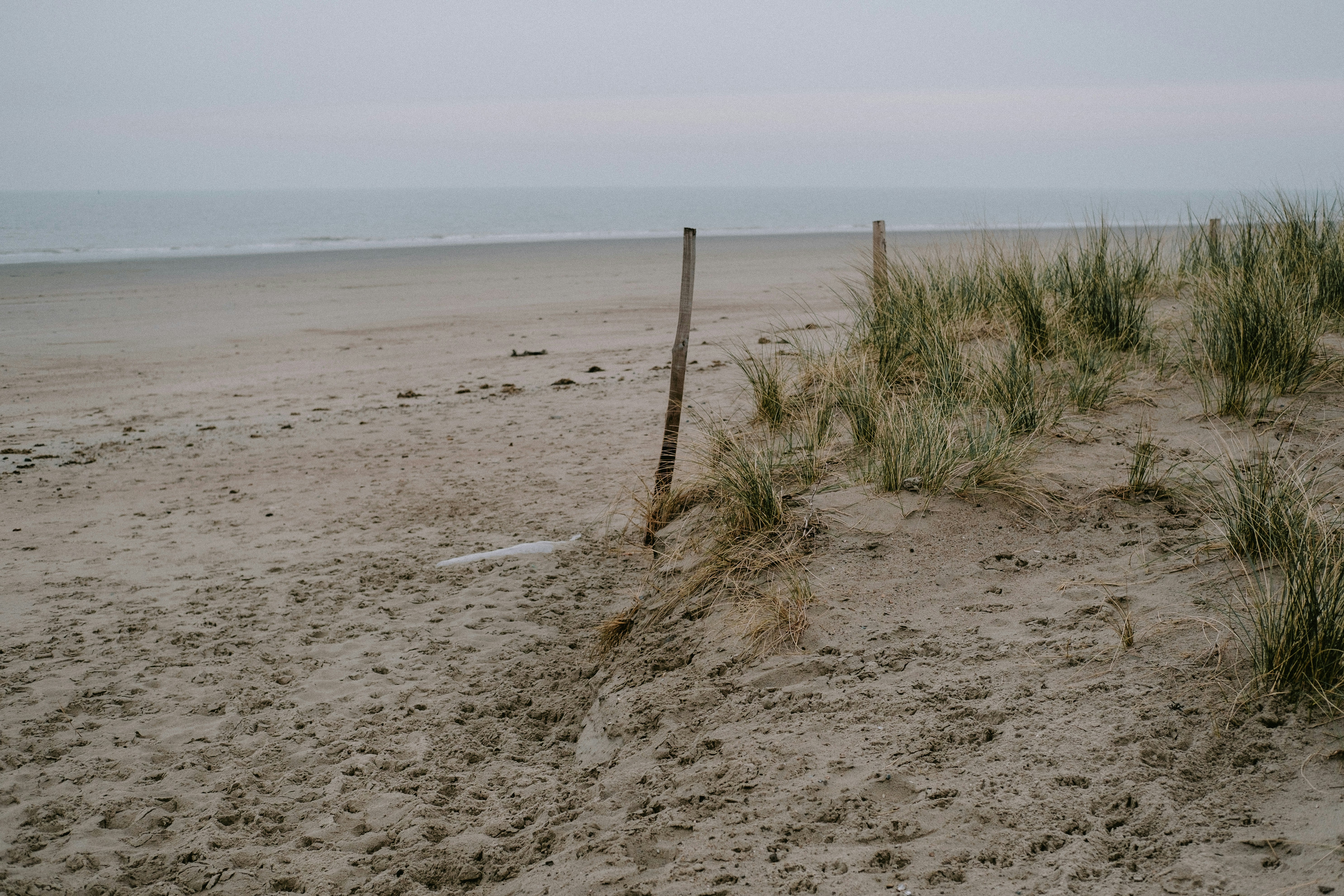 Photo by matreding