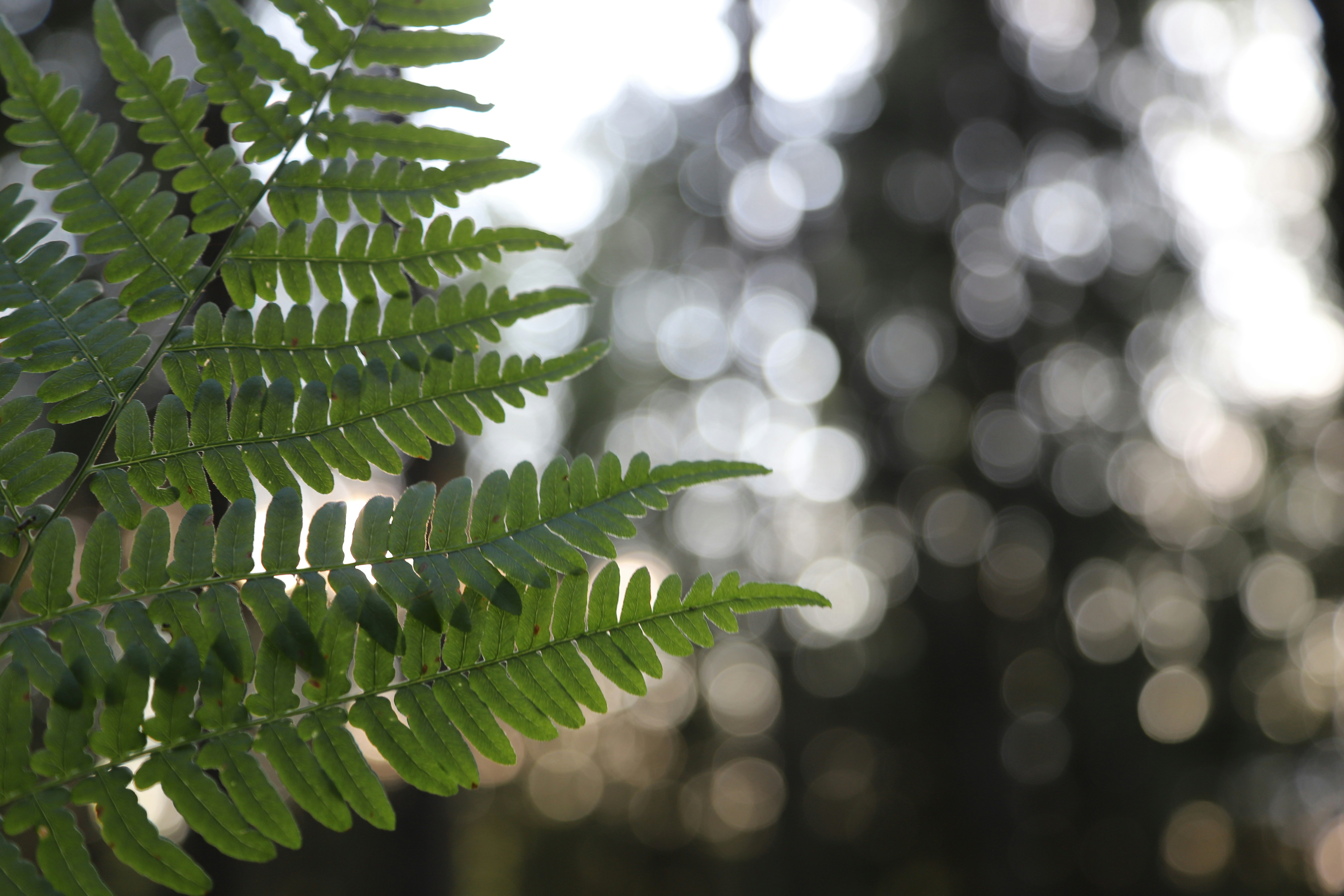 Photo by outimarjaana