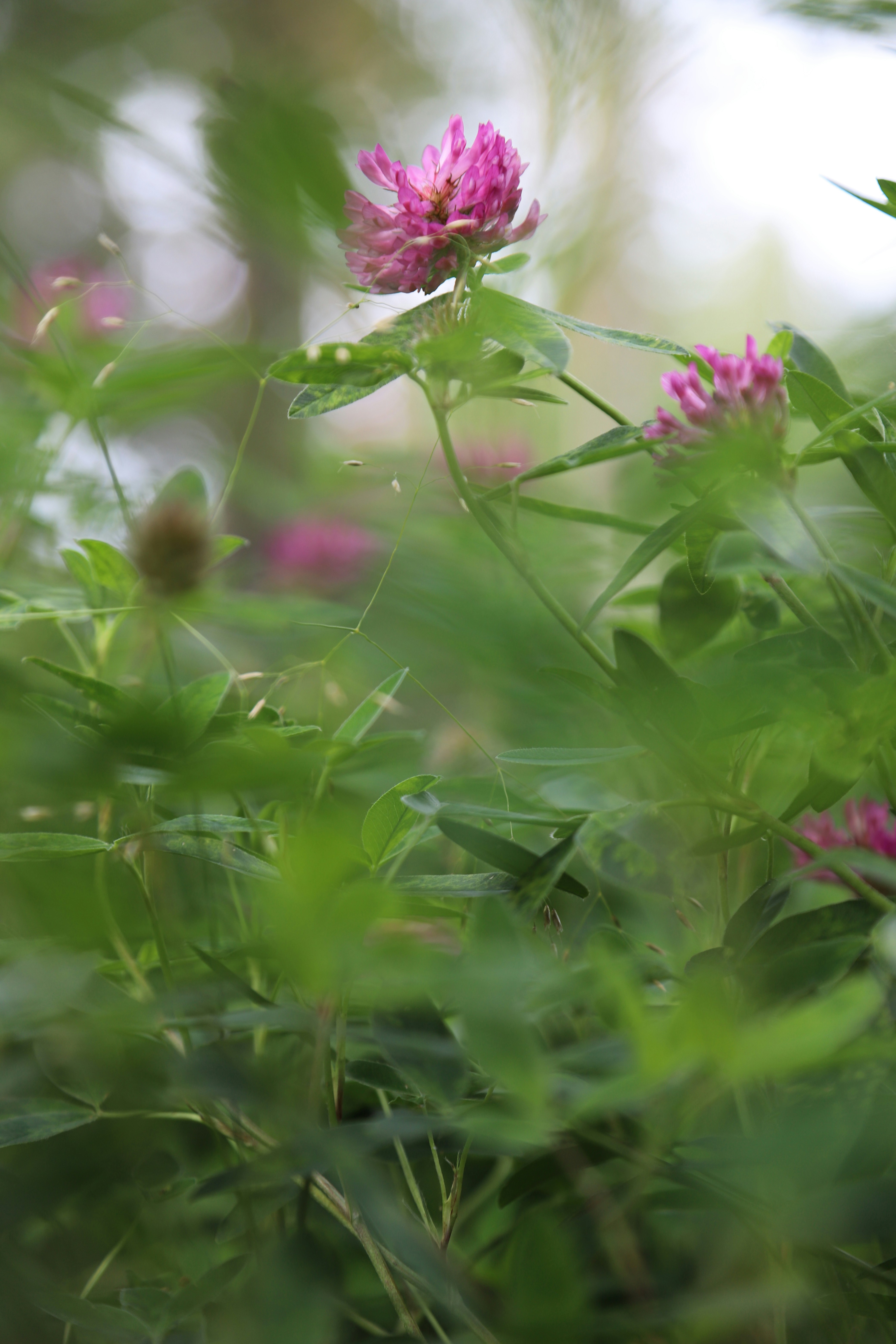 Photo by outimarjaana