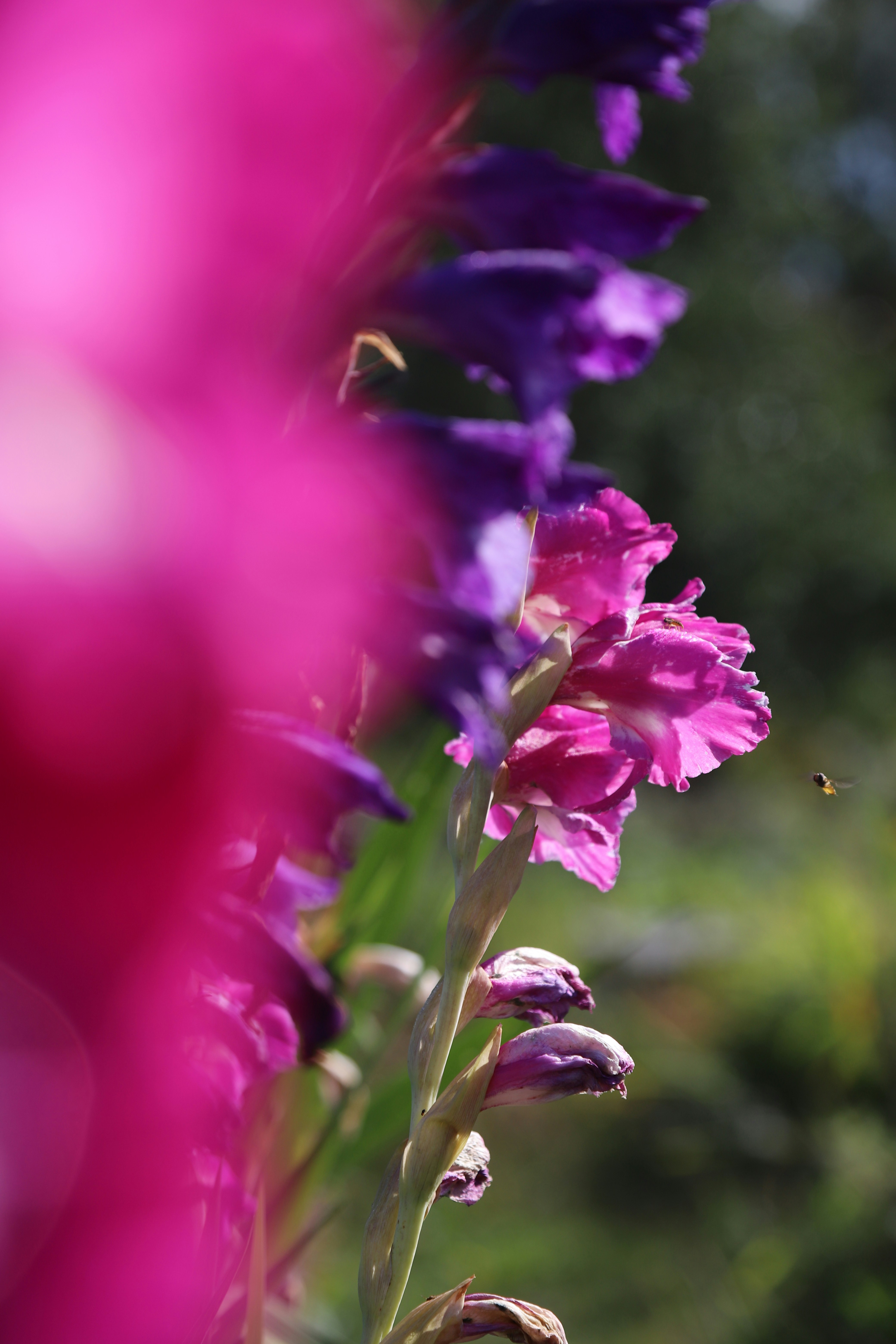 Photo by outimarjaana