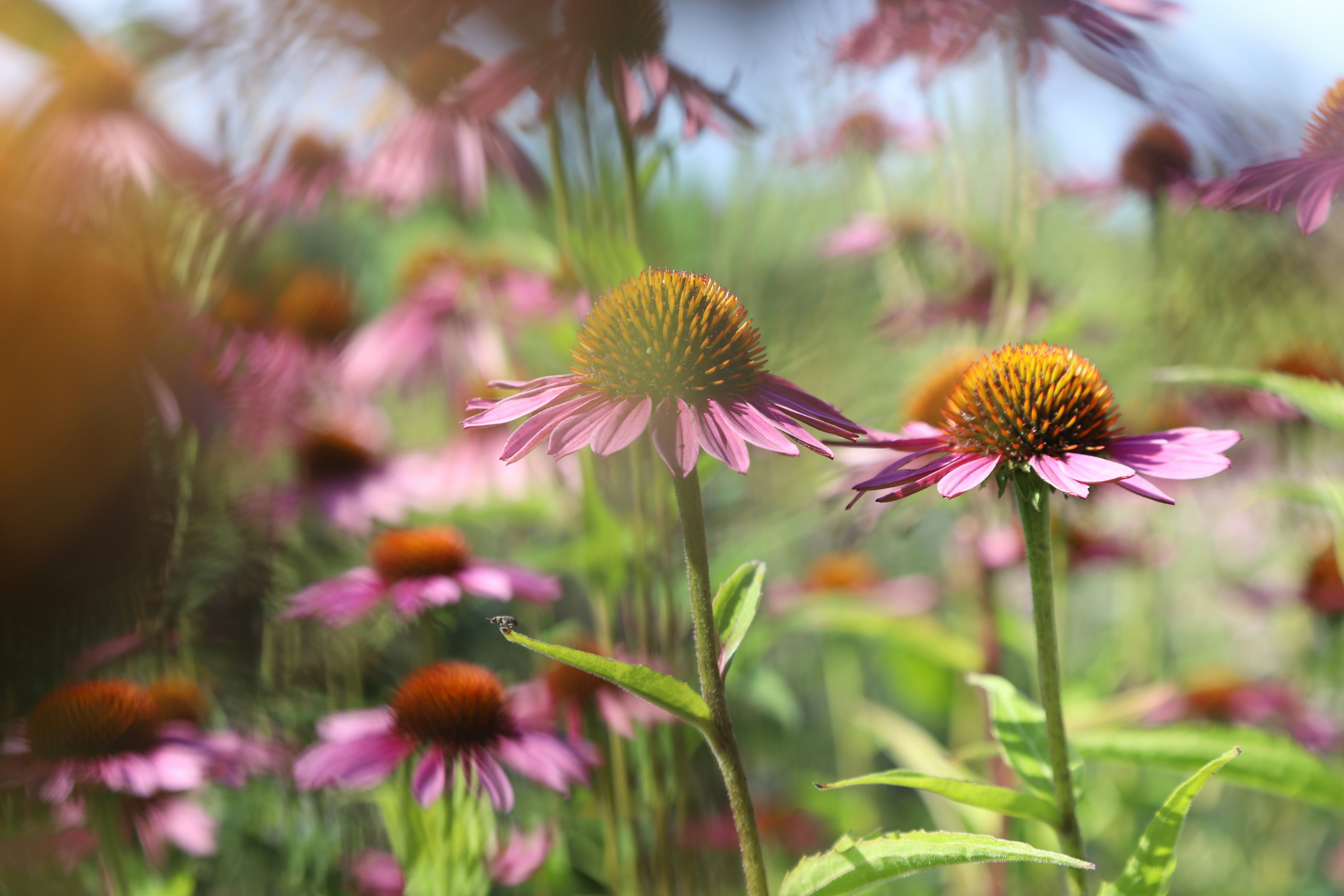 Photo by outimarjaana