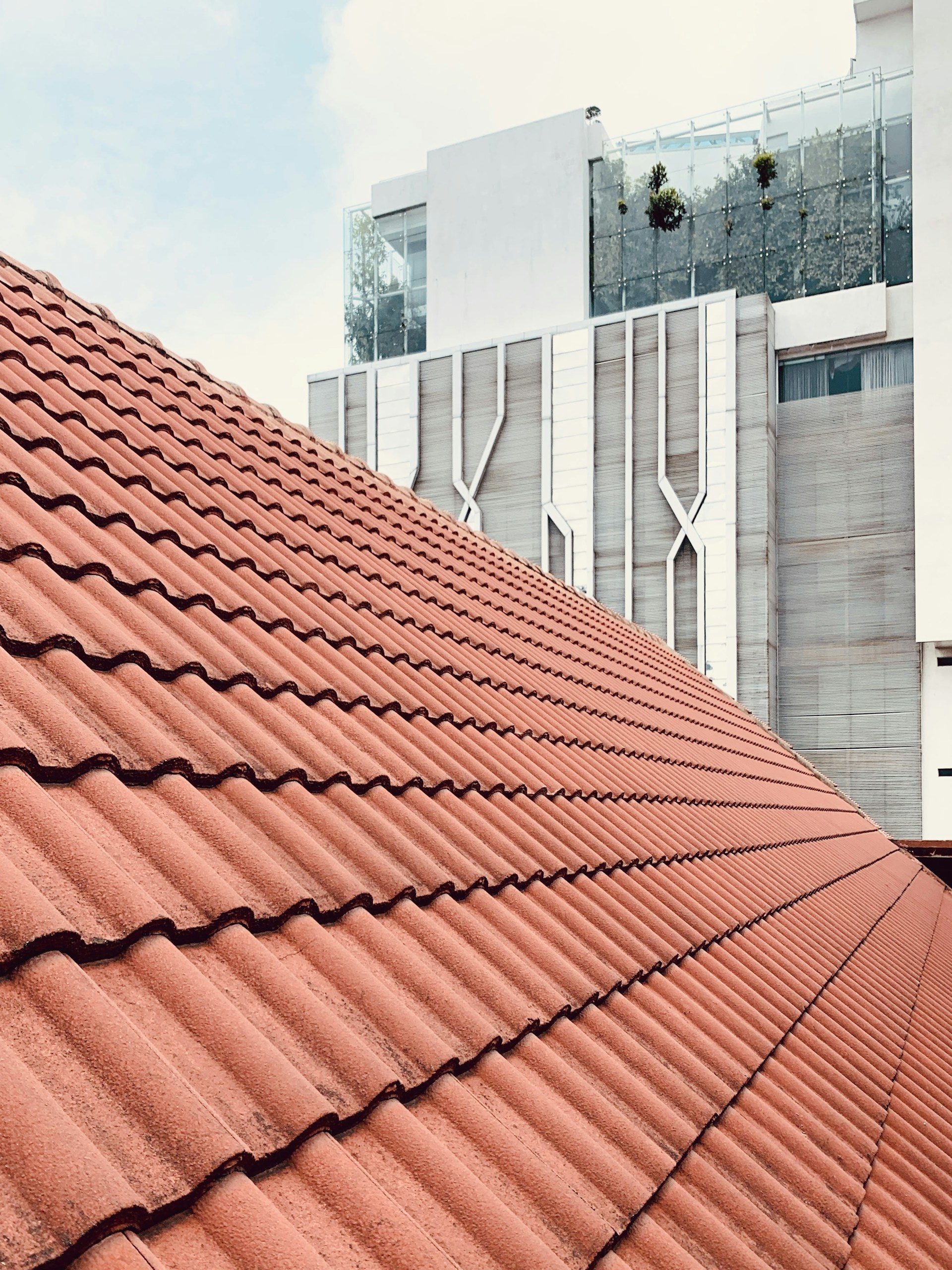 a close up of a roof with a building in the background
