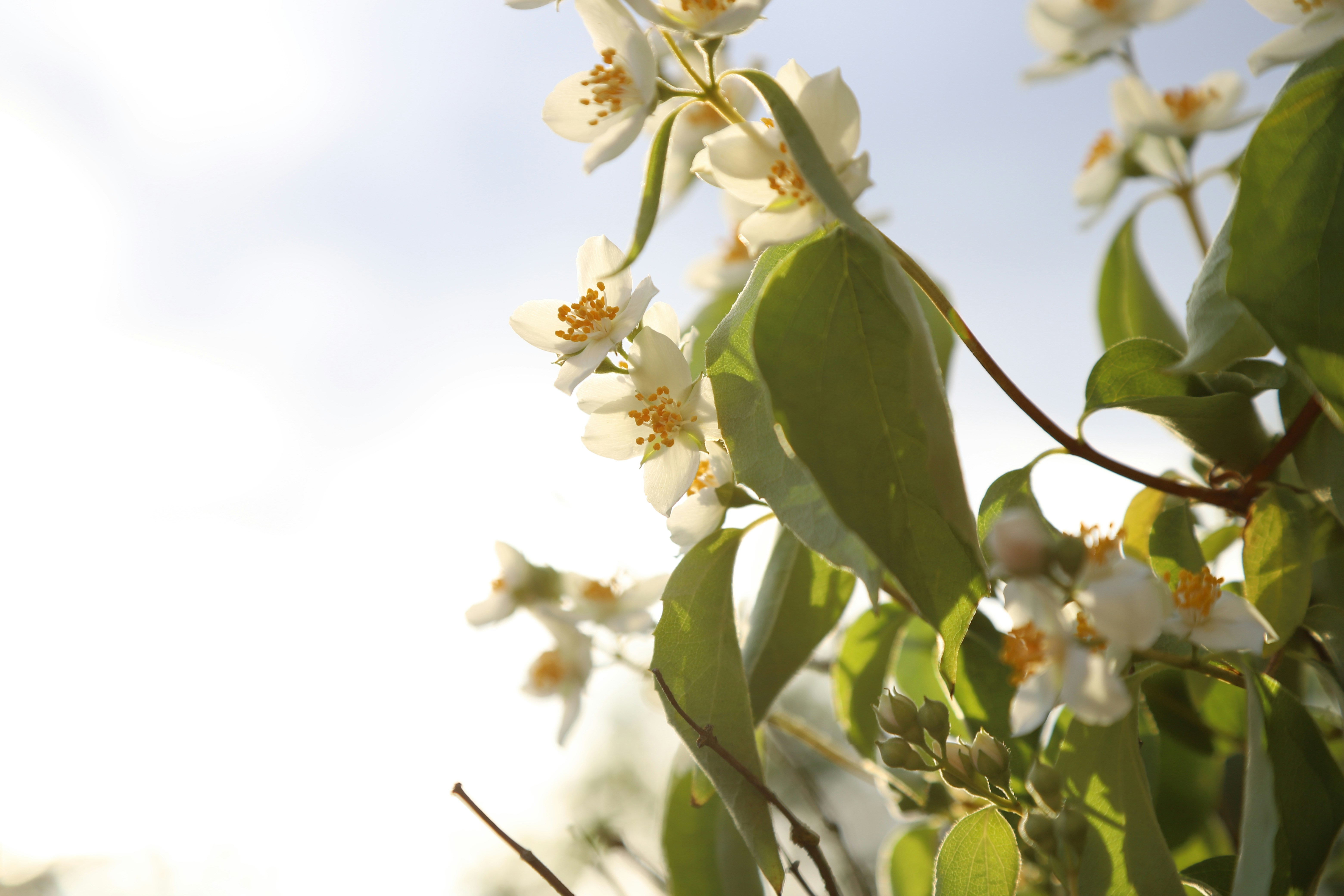 Photo by outimarjaana