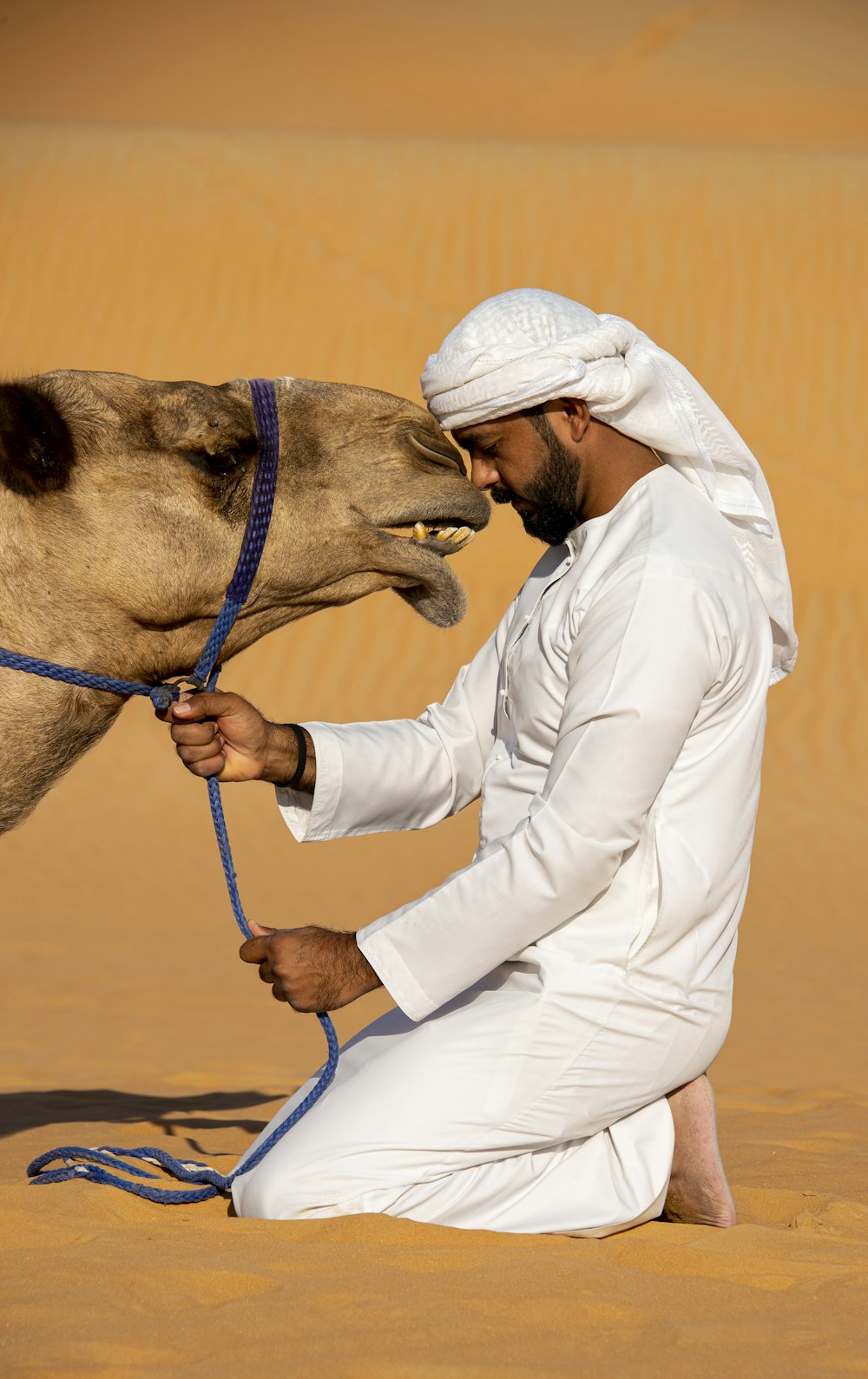 Un hombre con un traje blanco está acariciando a un camello
