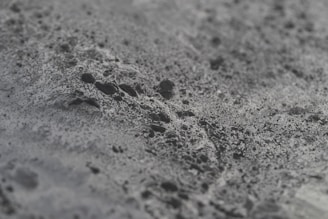 a black and white photo of a bird's footprints in the sand