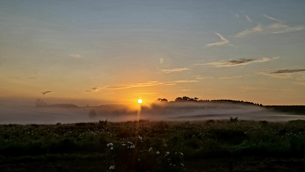 a foggy field with the sun setting in the distance