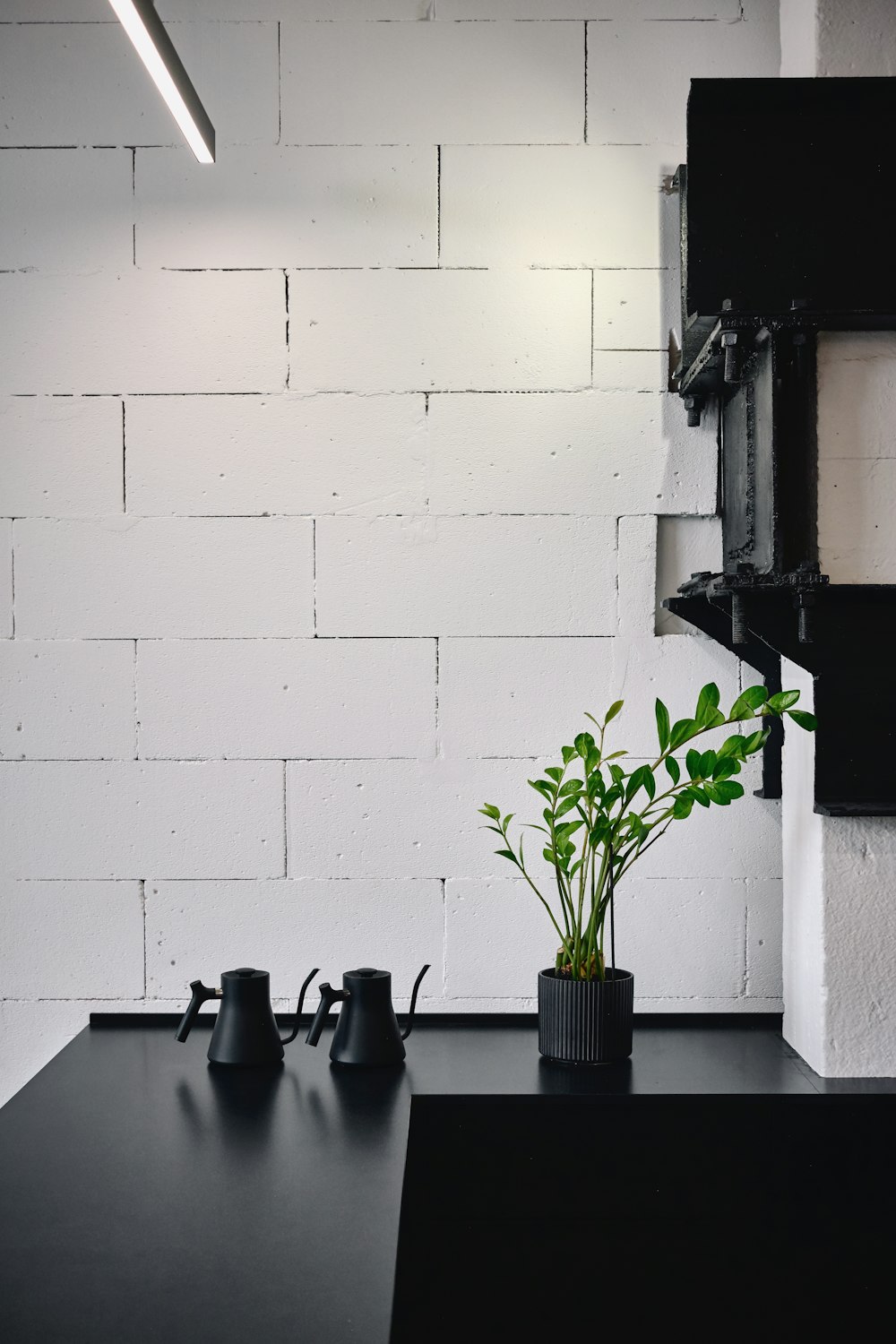 a black table topped with a potted plant next to a mirror