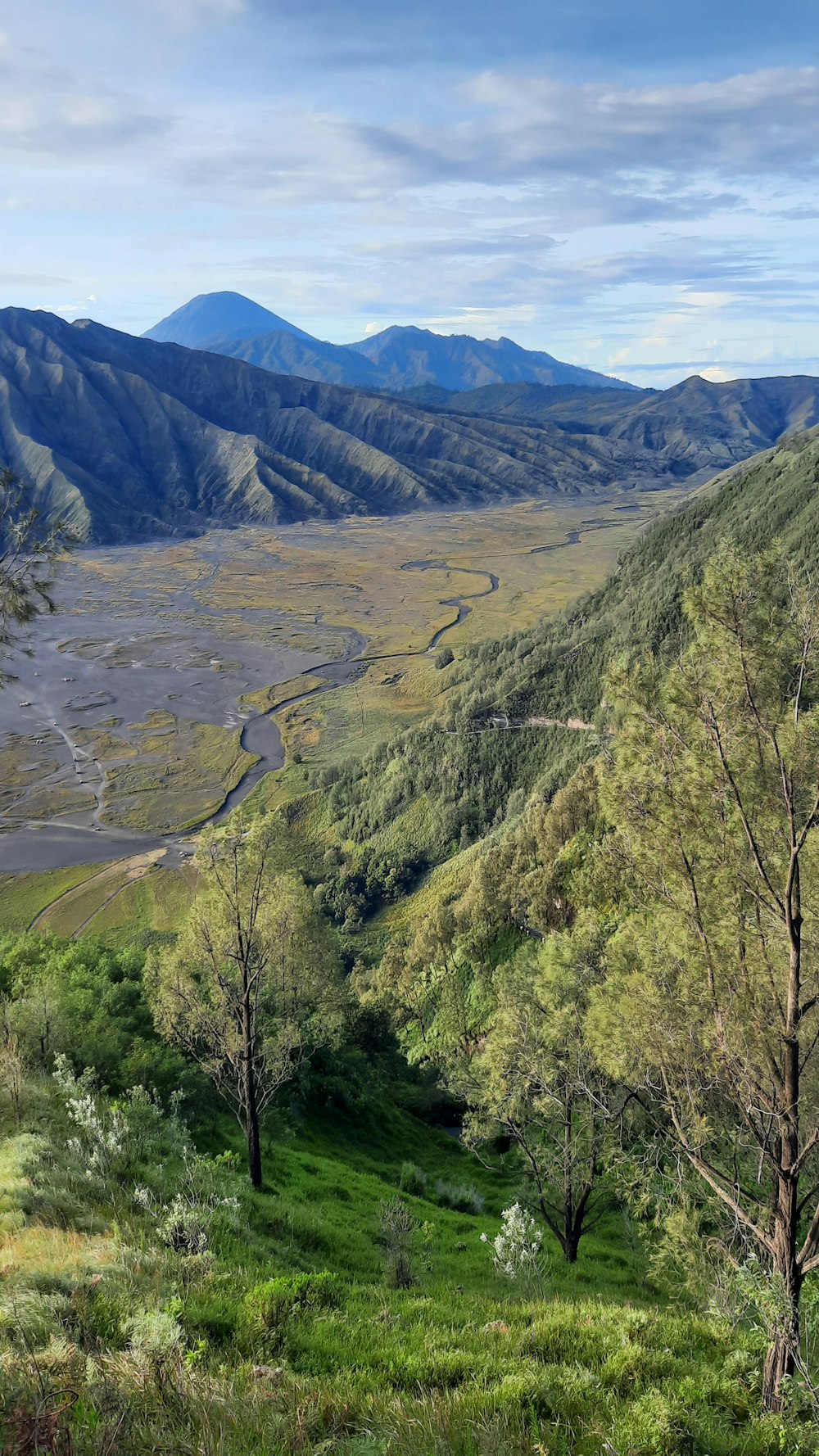 a view of a valley with mountains in the background