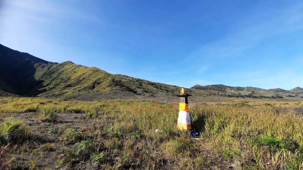 a yellow and white fire hydrant in a grassy field