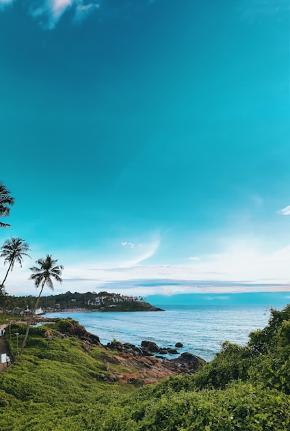 Poovar Island: Kerala's Hidden Backwater Paradise