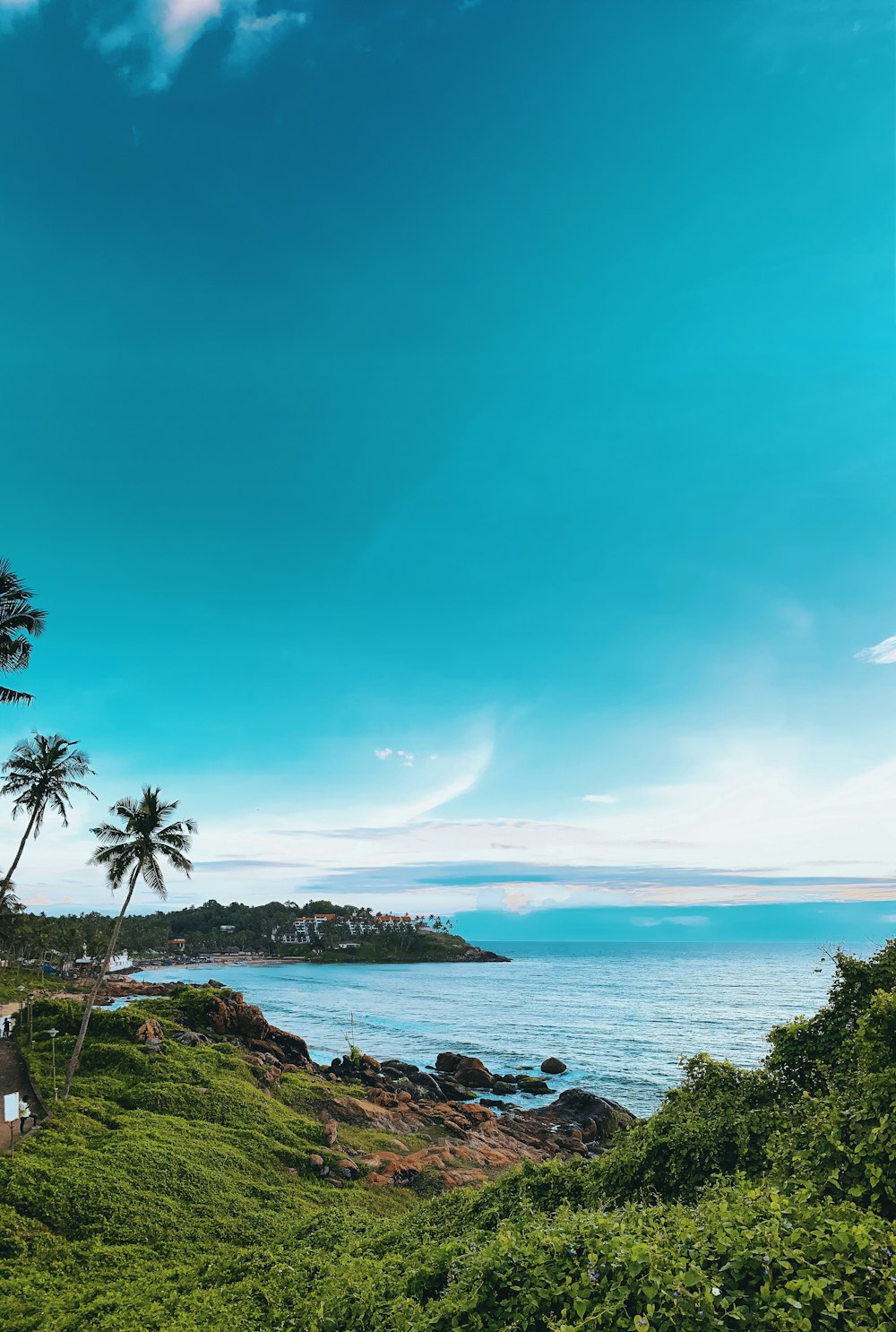 a scenic view of the ocean from a hill