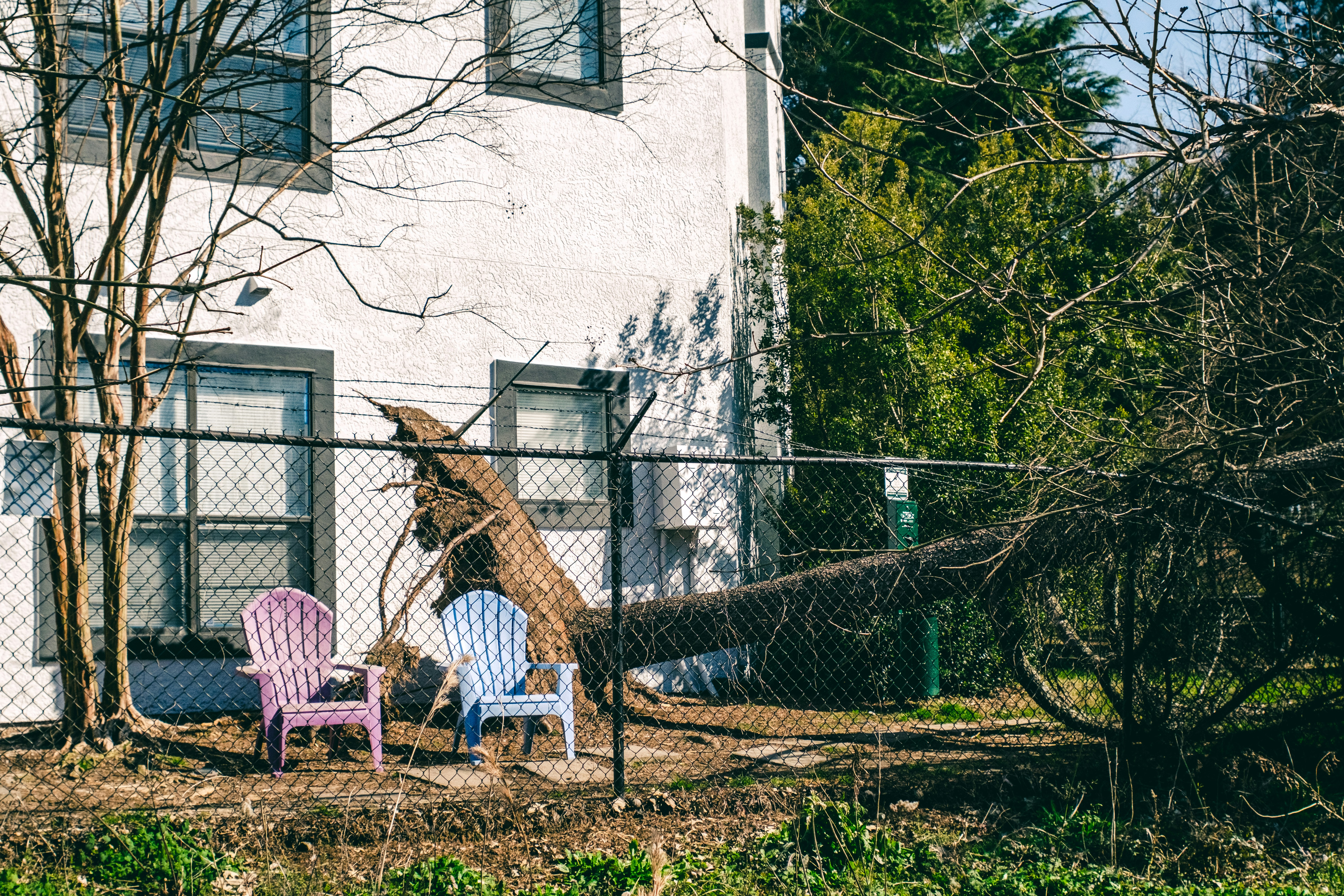 a giraffe sitting in a yard next to a fence