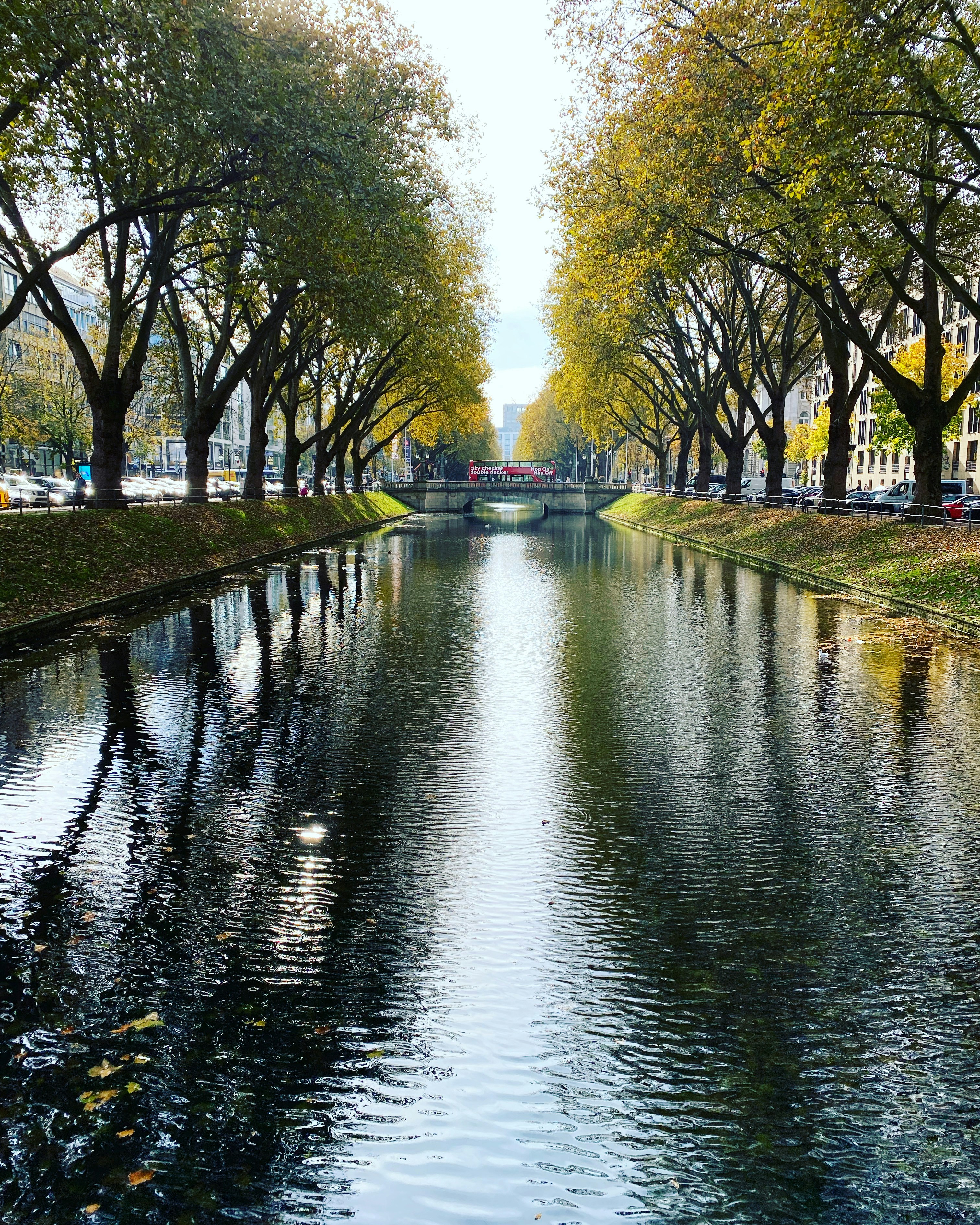 Photo by flowers70