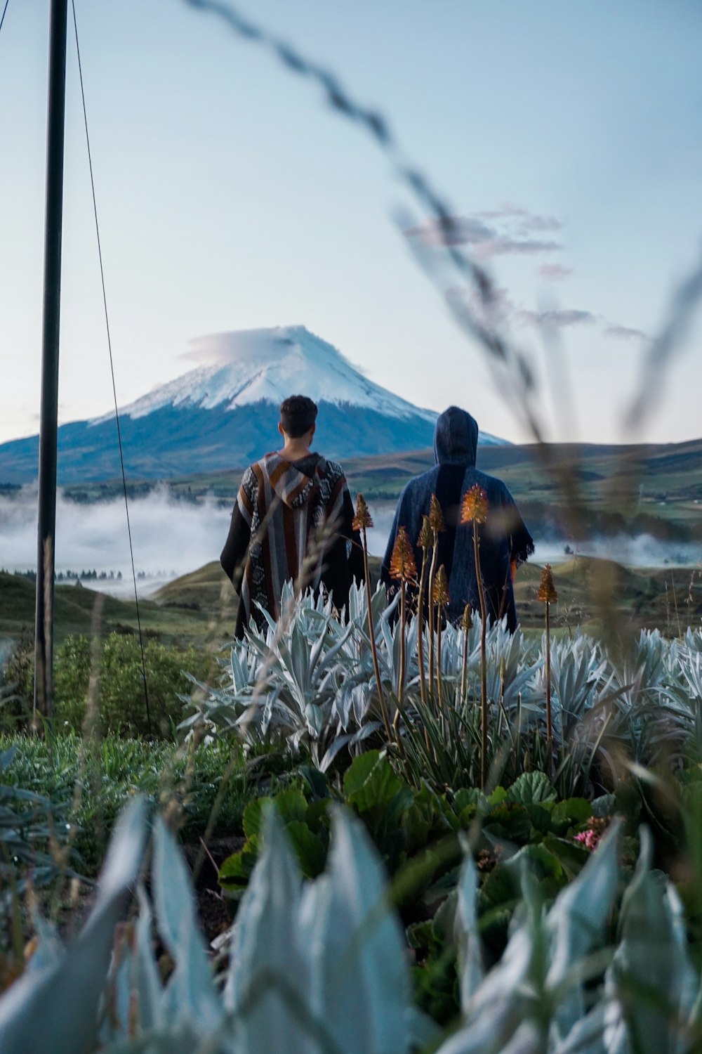 a couple of people that are standing in the grass