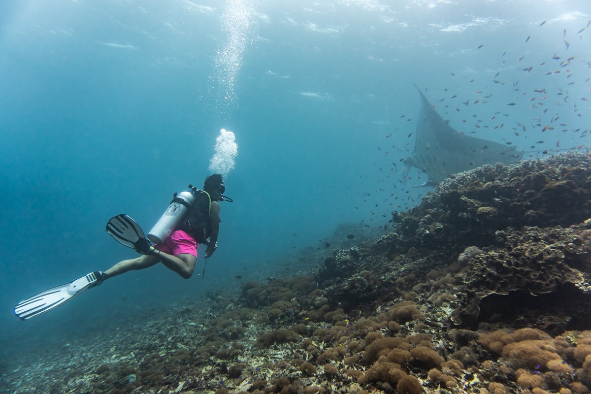 Komodo National Park with calm water and green island hills in October