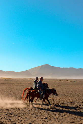 a couple of people riding on the backs of horses