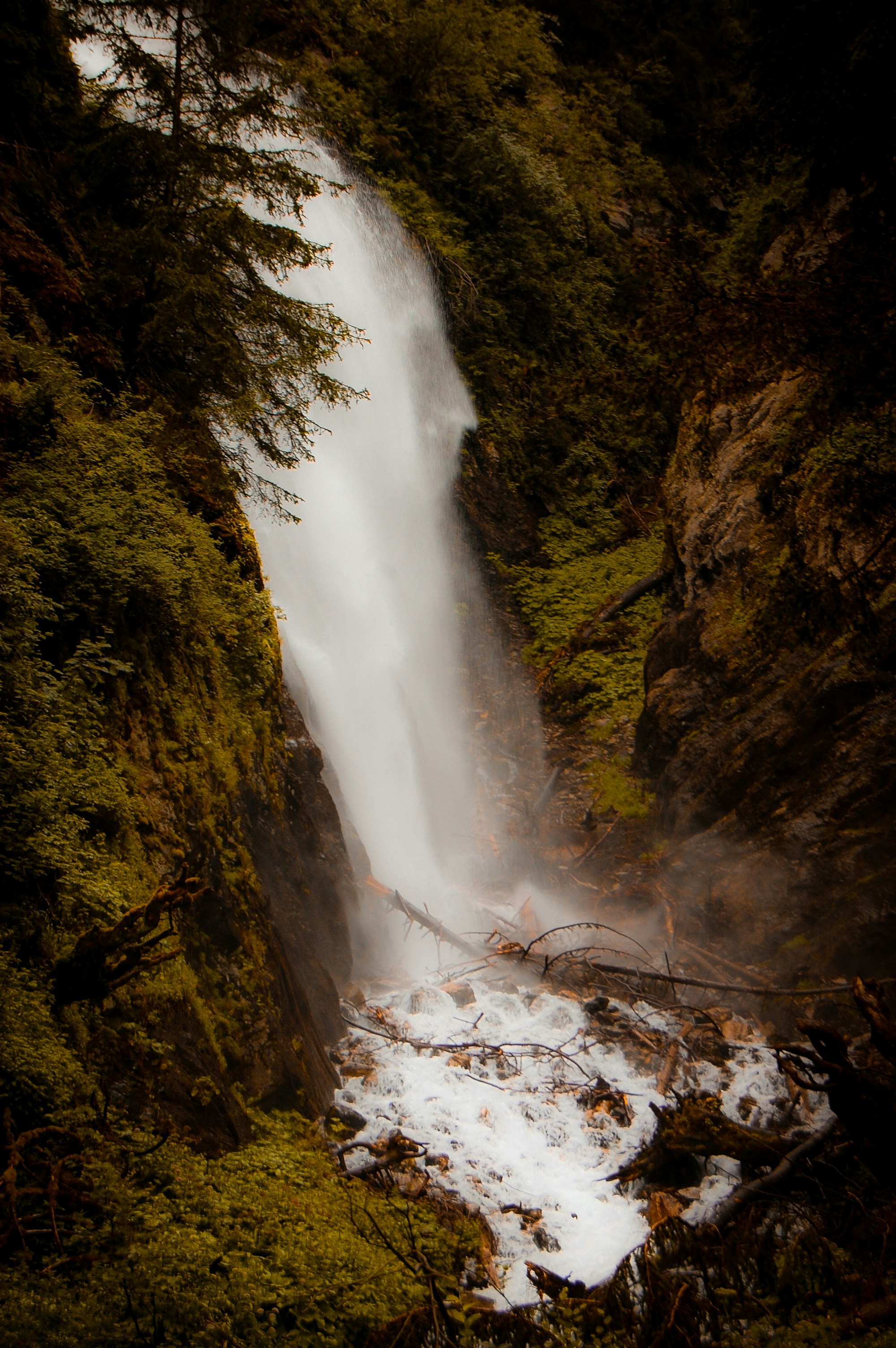 Photo by gracephotography