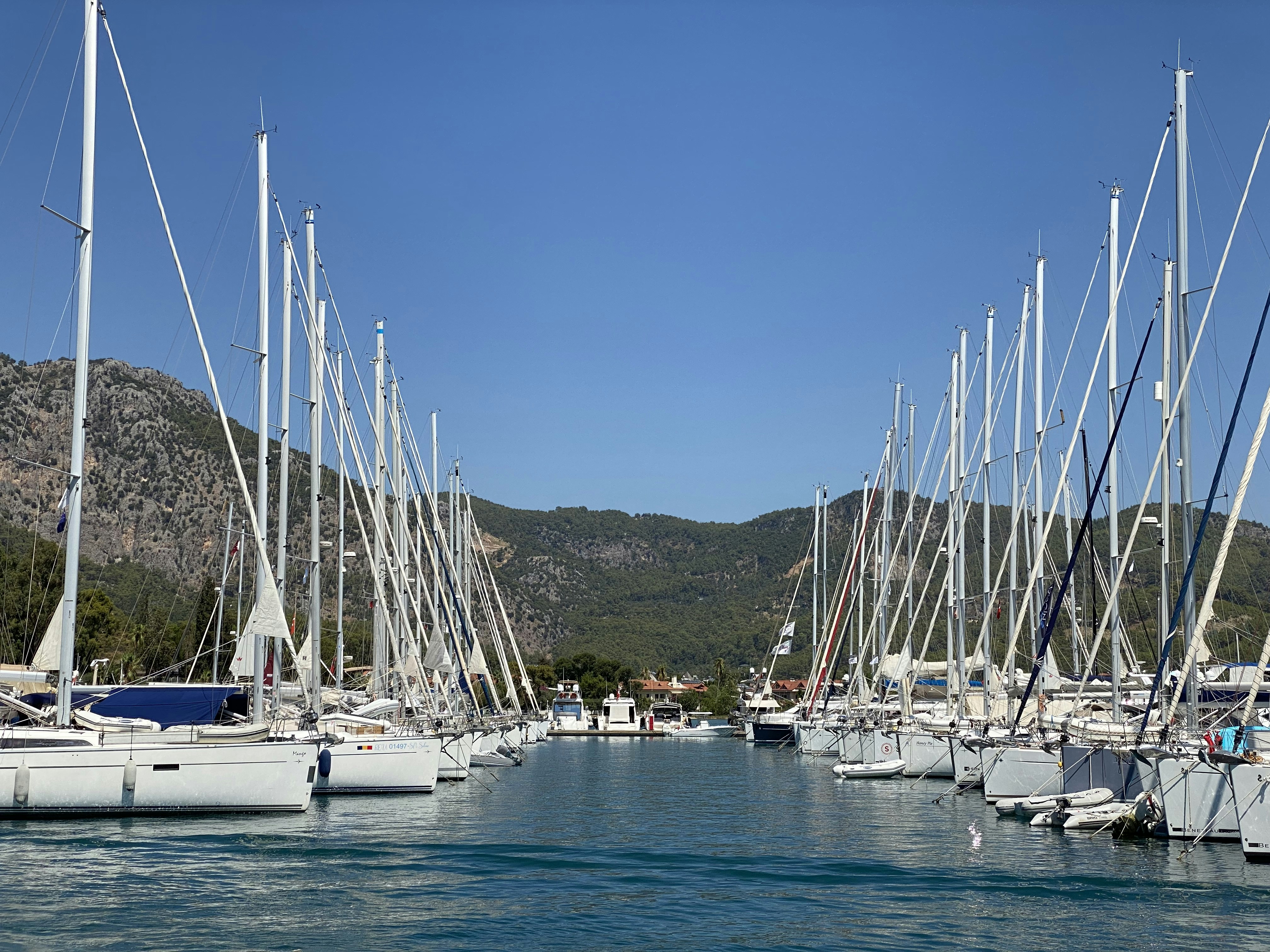 Photo by kalabalikevim