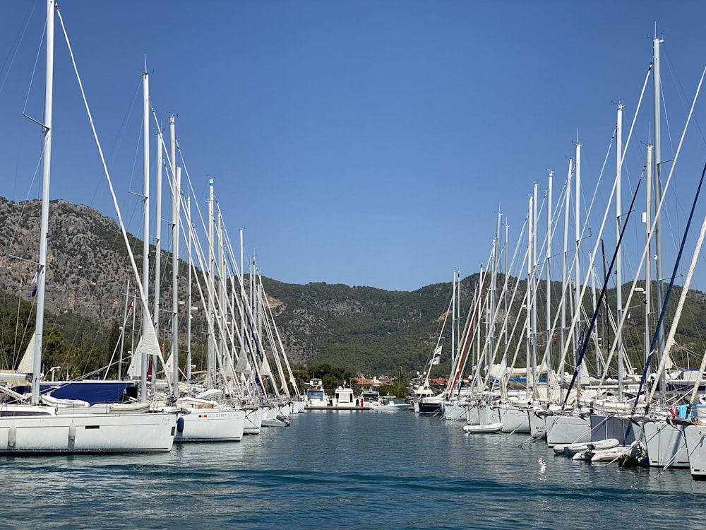 a bunch of sailboats are docked in the water