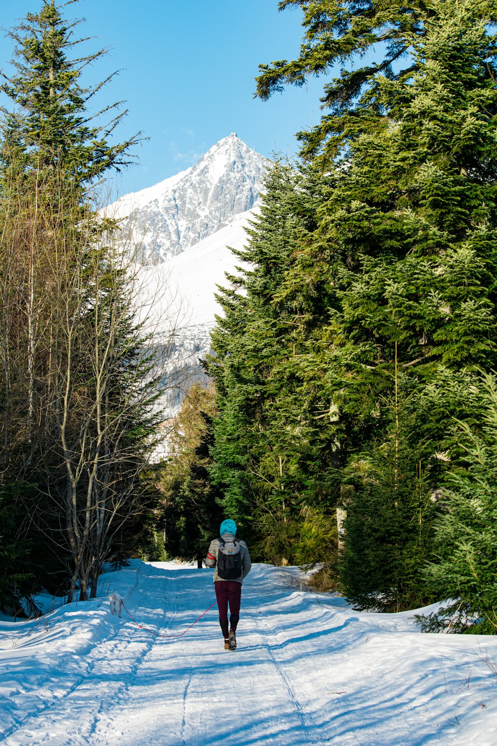 a person walking down a snow covered road