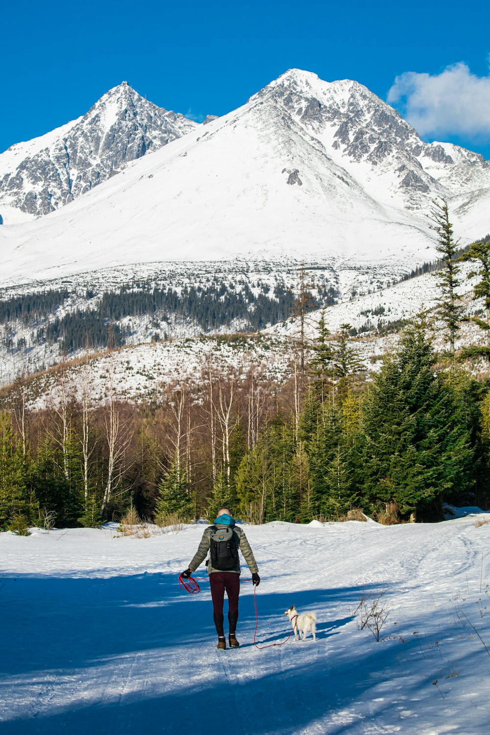 a person walking in the snow with a dog