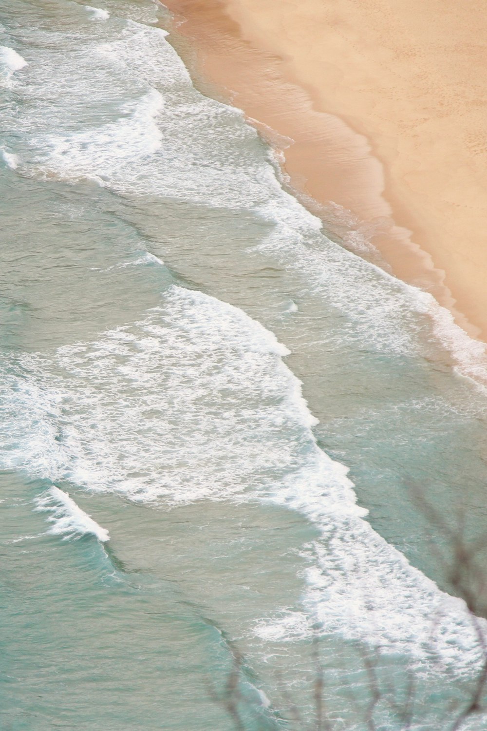 a bird is flying over the water near the beach